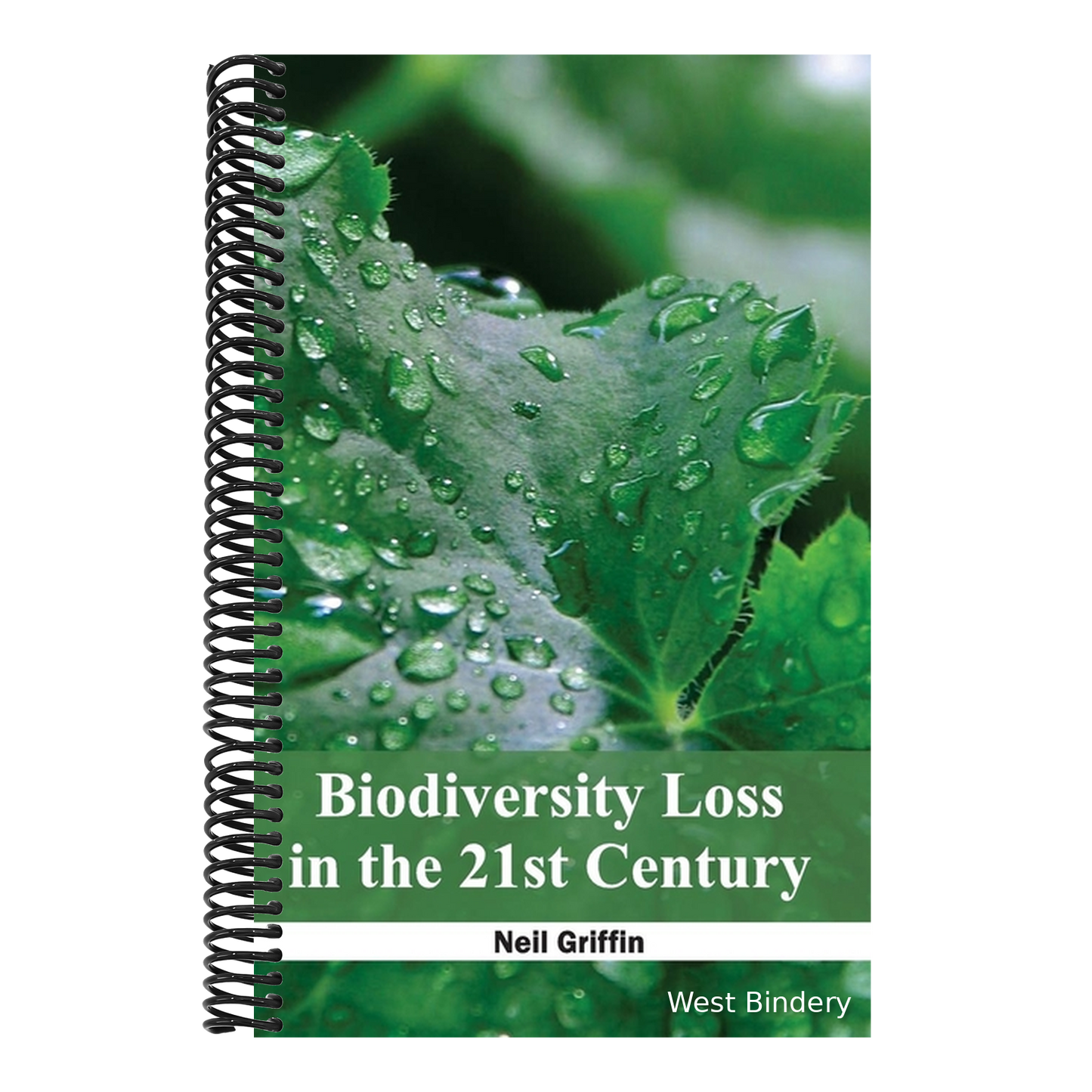 Biodiversity Loss in the 21st Century