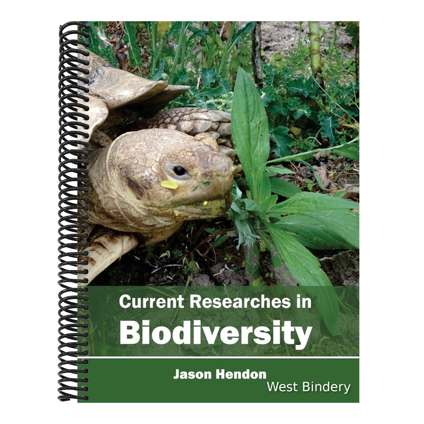Current Researches in Biodiversity