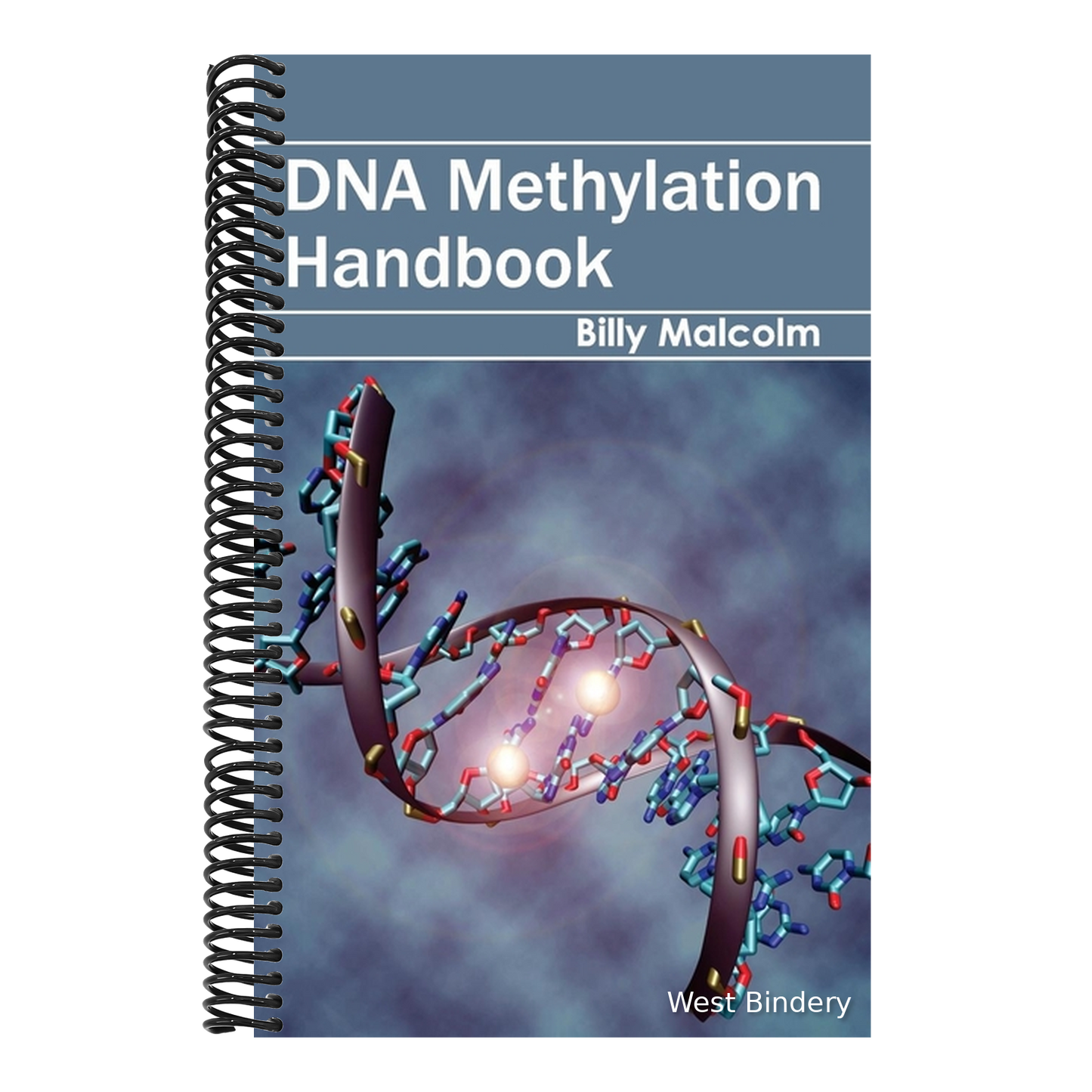 DNA Methylation Handbook