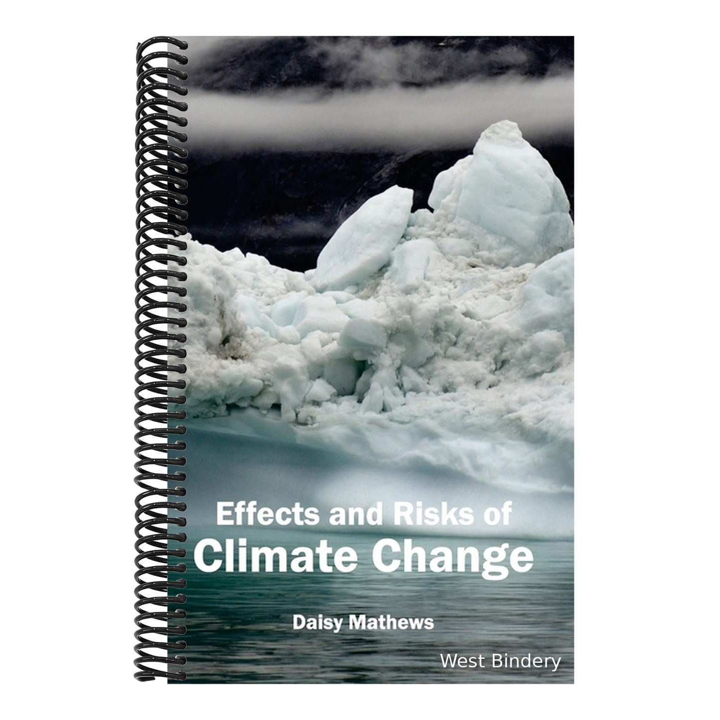 Effects and Risks of Climate Change
