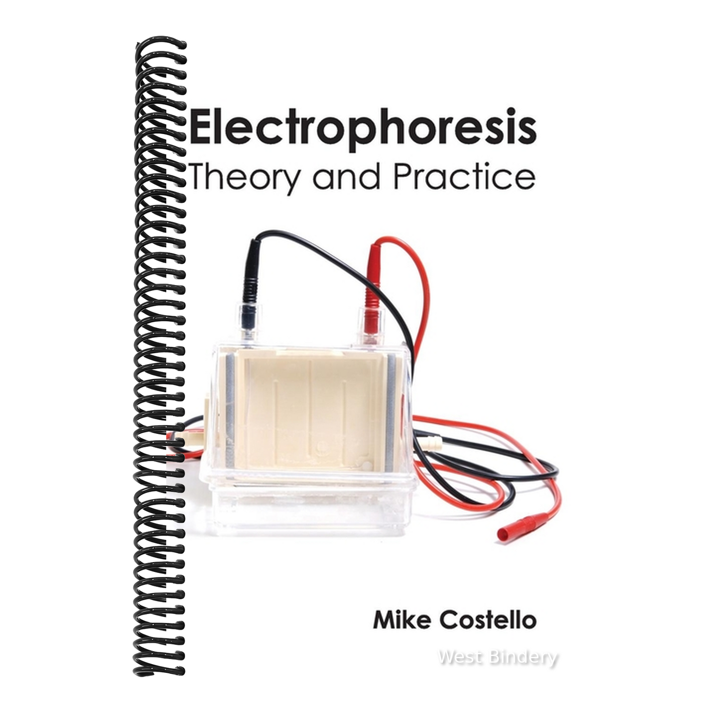 Electrophoresis: Theory and Practice