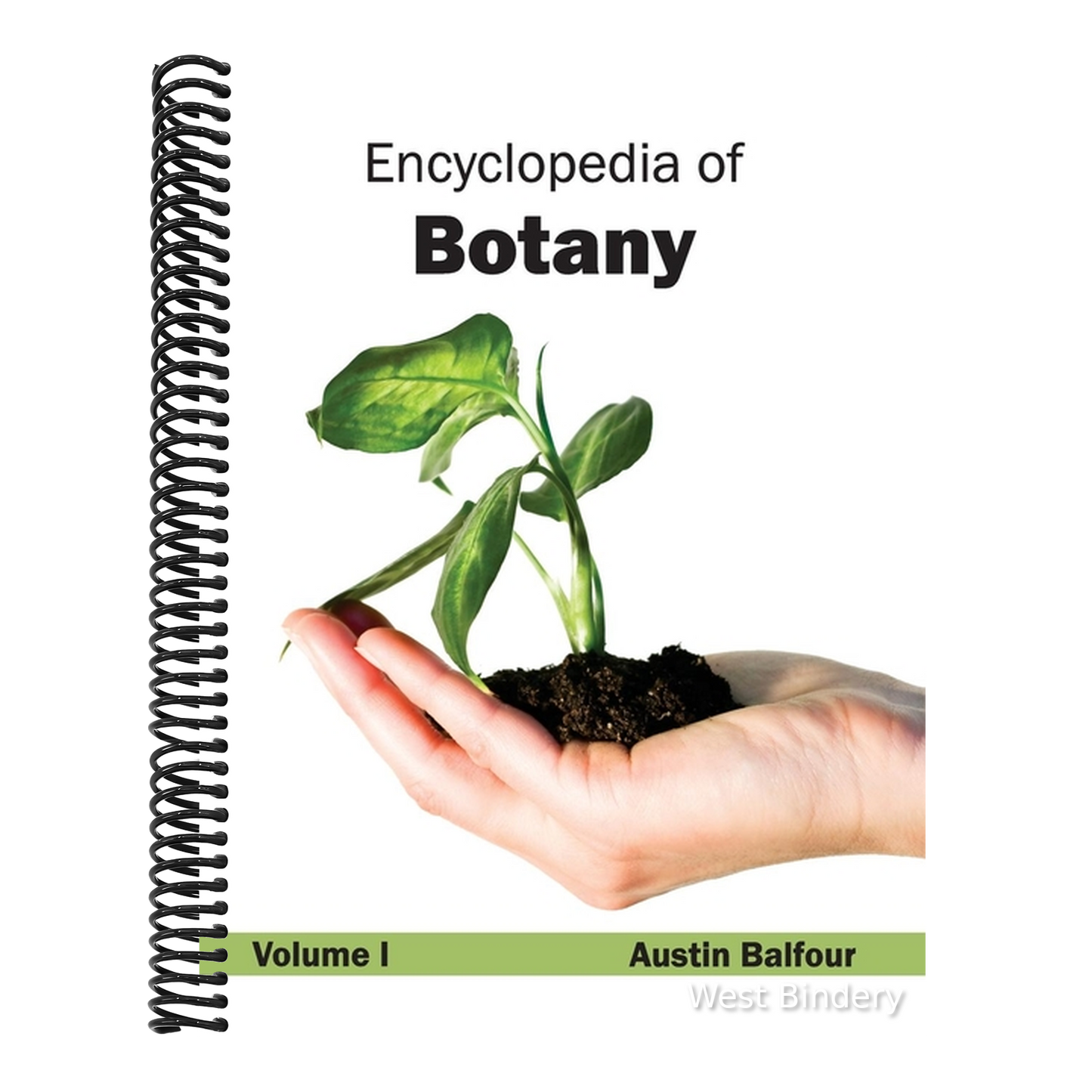 Encyclopedia of Botany: Volume I