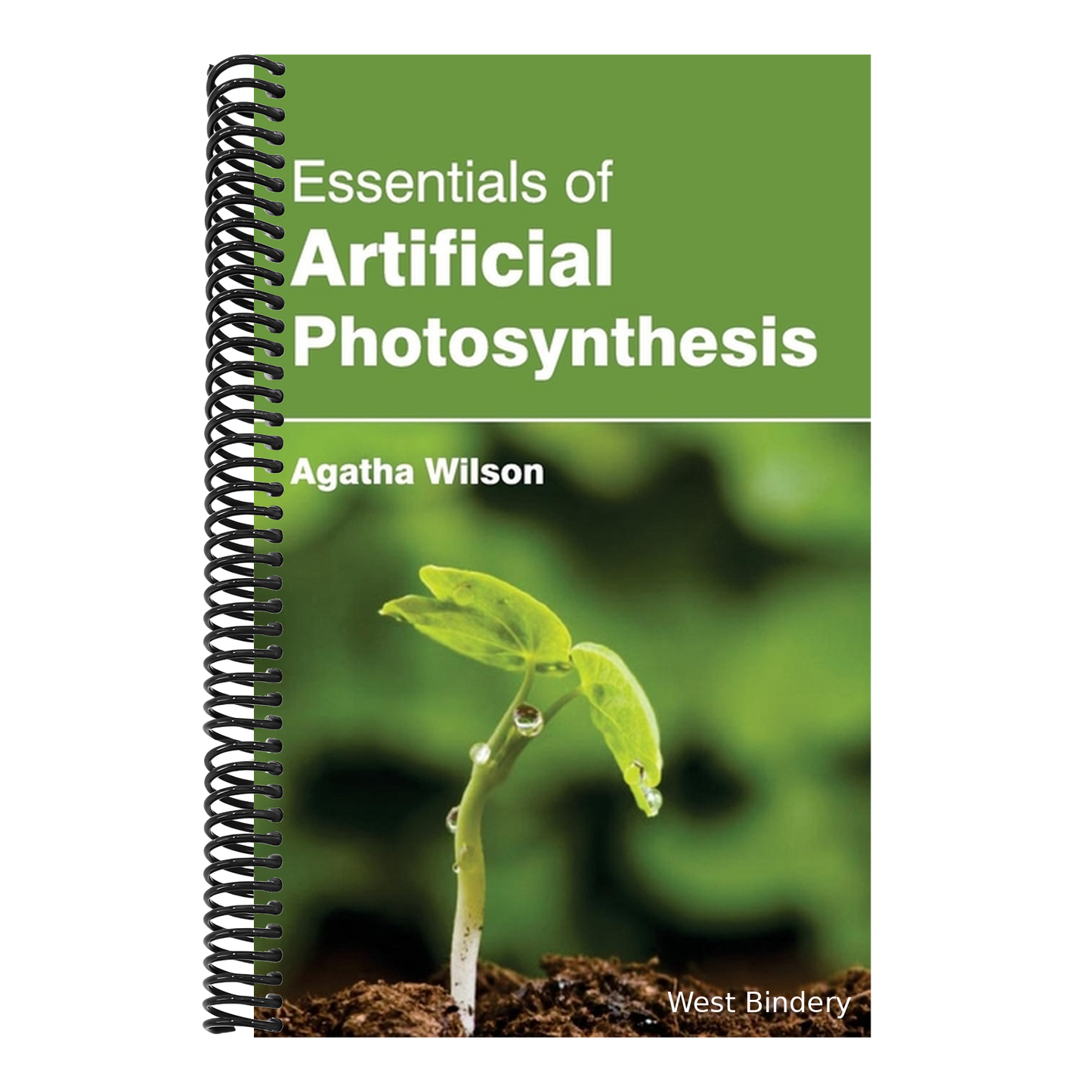 Essentials of Artificial Photosynthesis