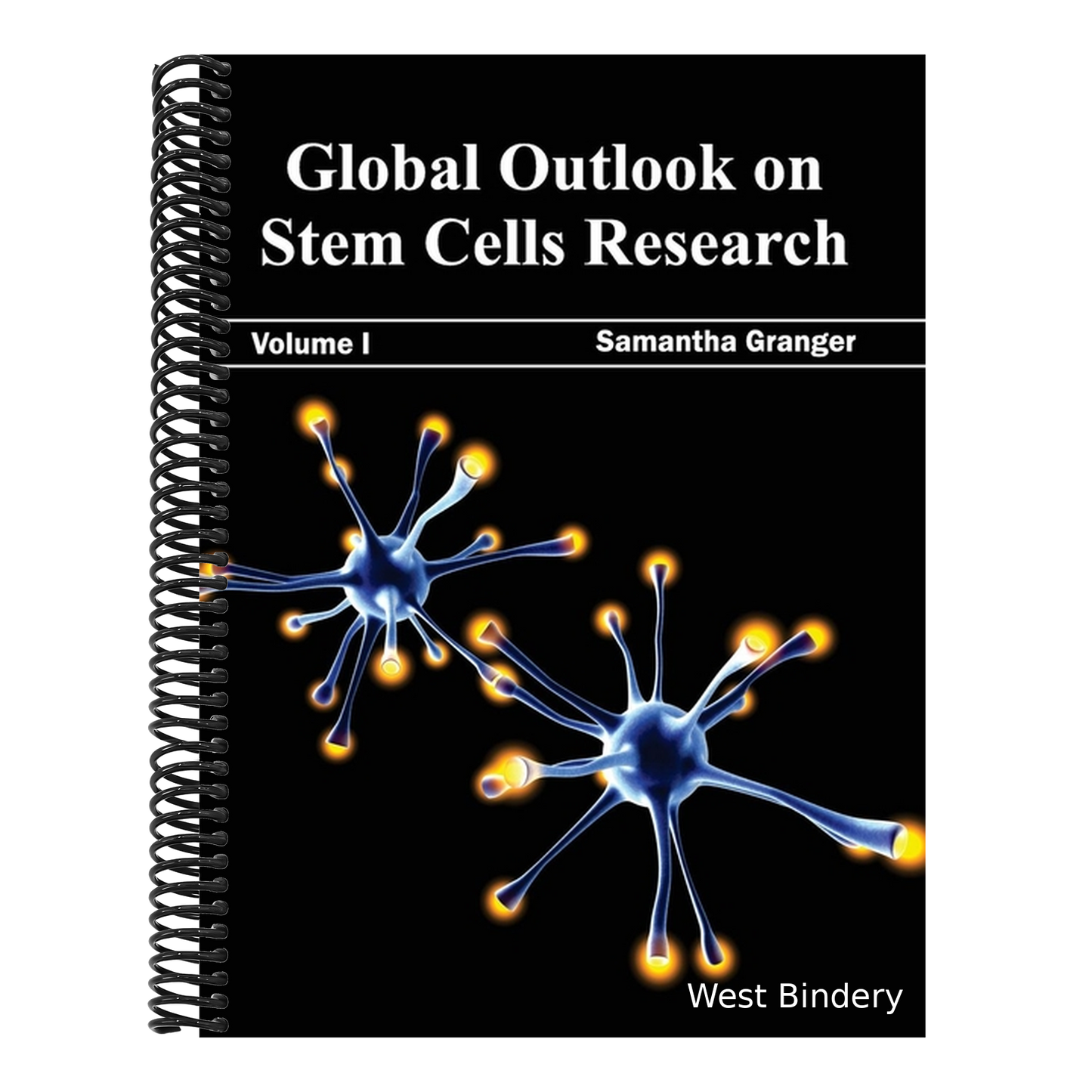 Global Outlook on Stem Cells Research: Volume I