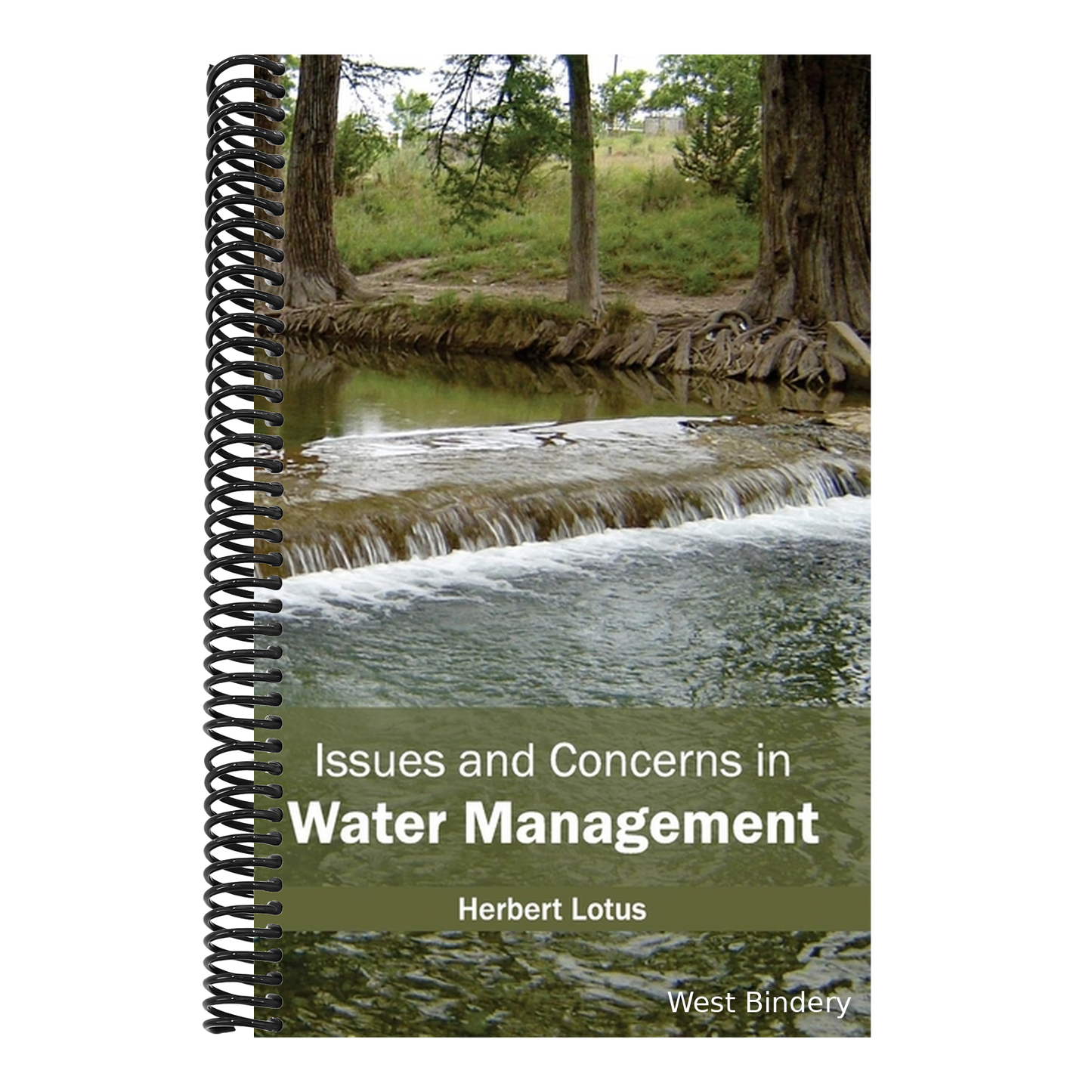 Issues and Concerns in Water Management
