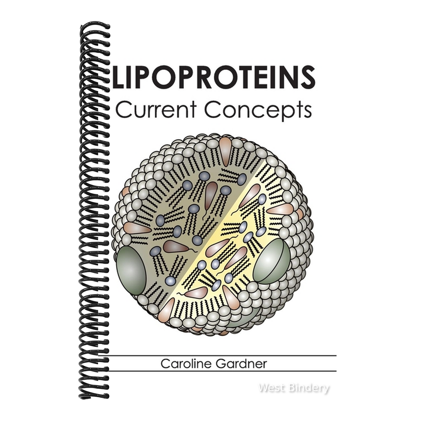 Lipoproteins: Current Concepts