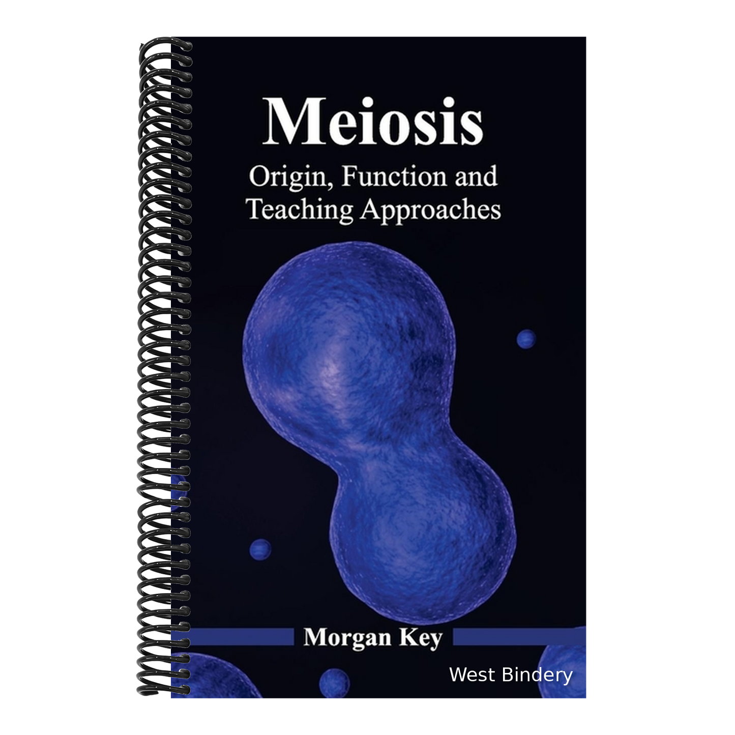 Meiosis: Origin, Function and Teaching Approaches