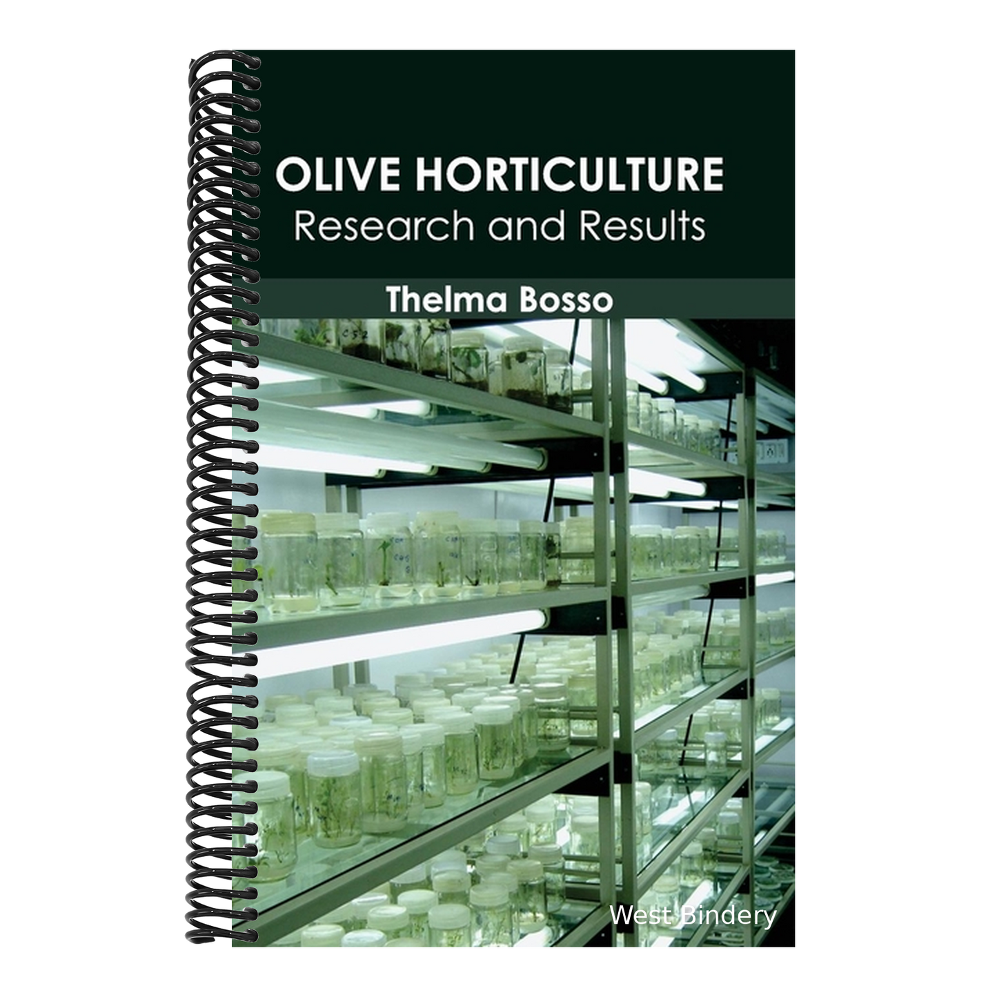 Olive Horticulture: Research and Results