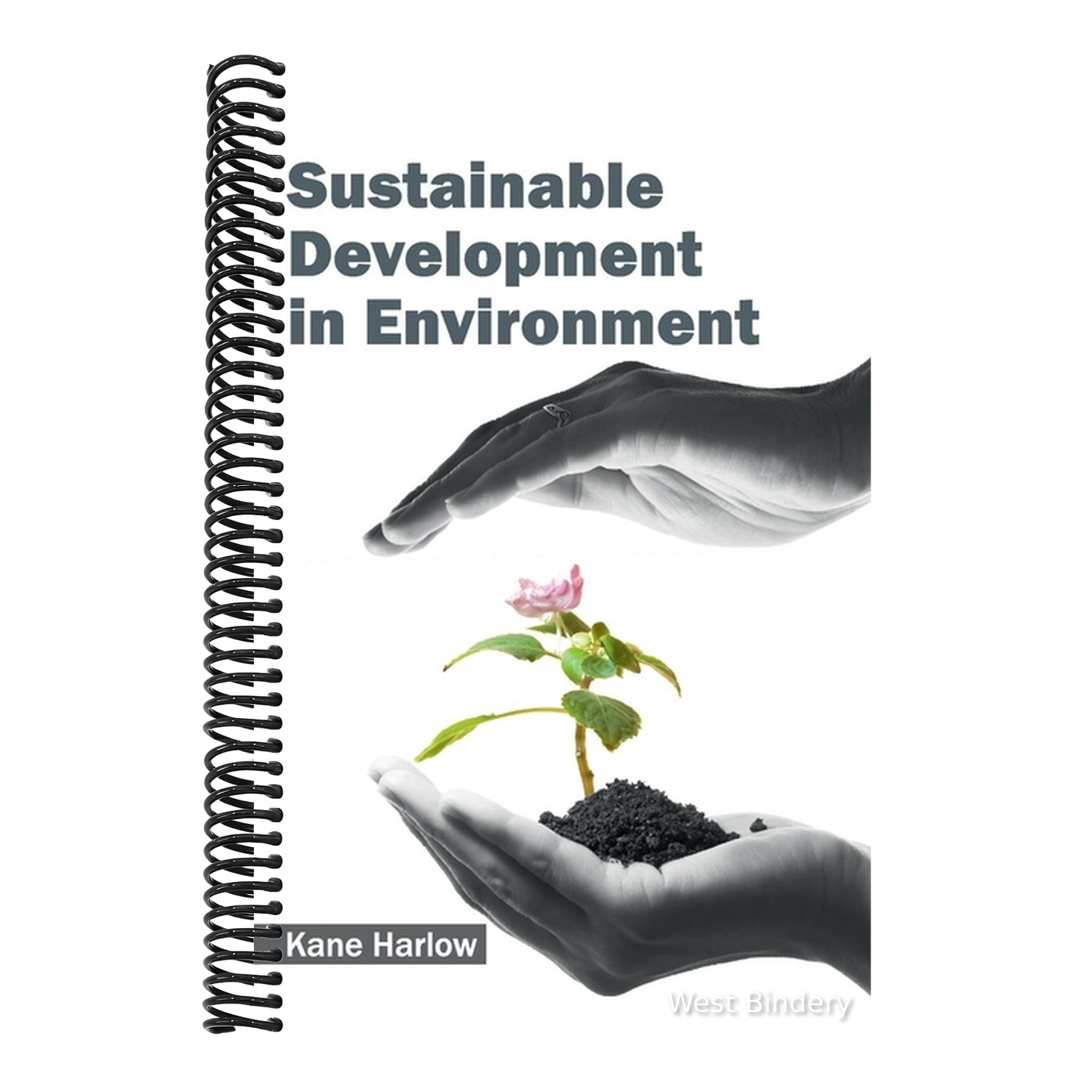Sustainable Development in Environment