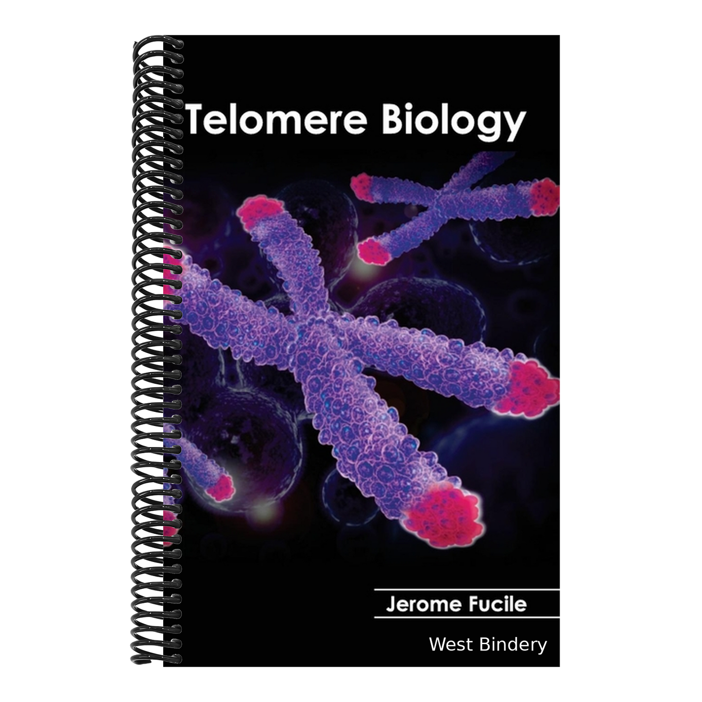 Telomere Biology