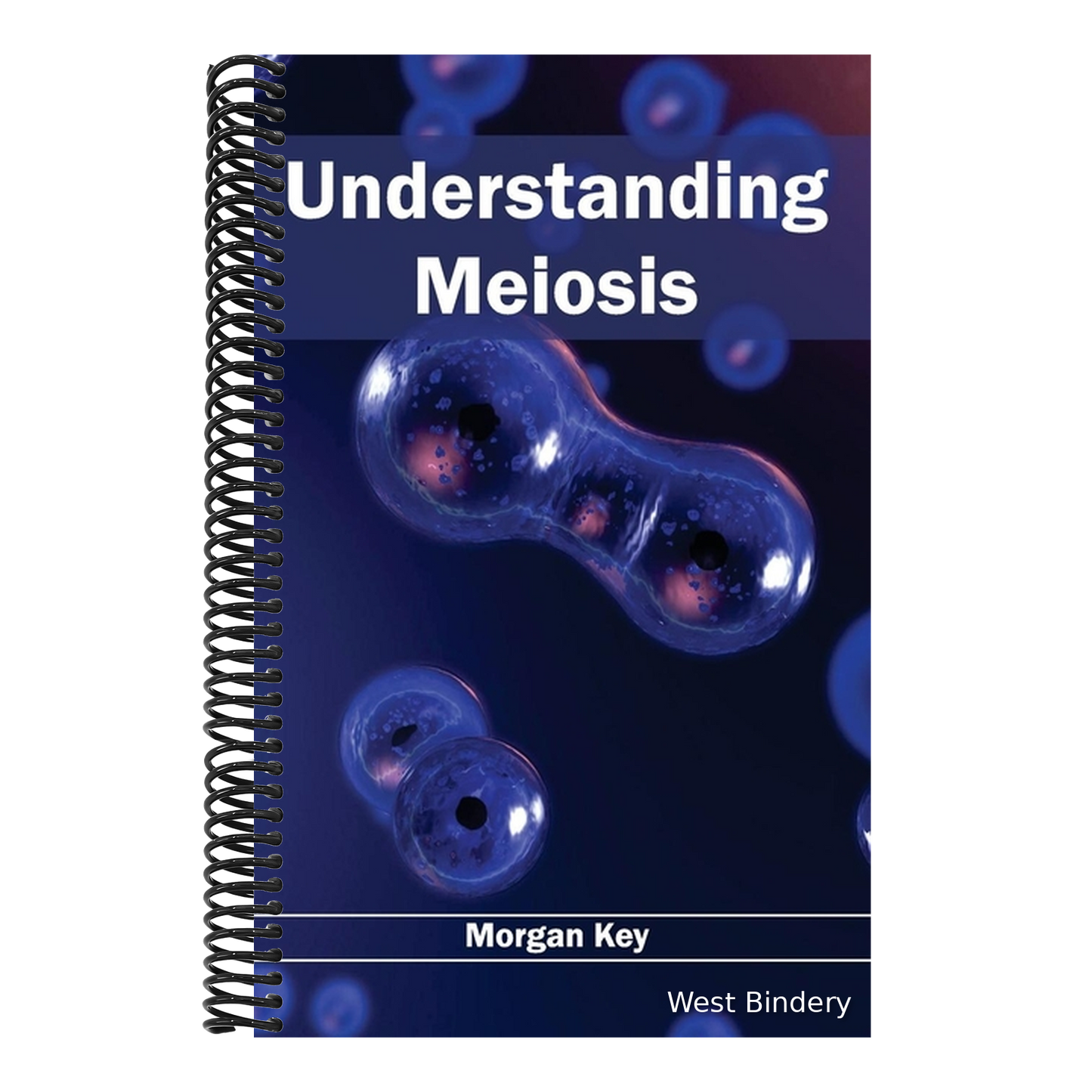 Understanding Meiosis