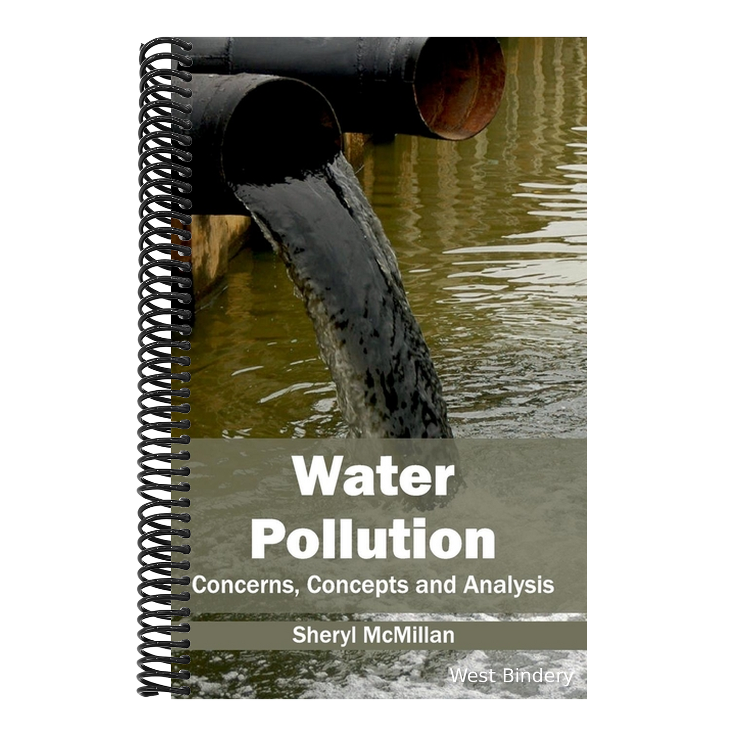 Water Pollution: Concerns, Concepts and Analysis