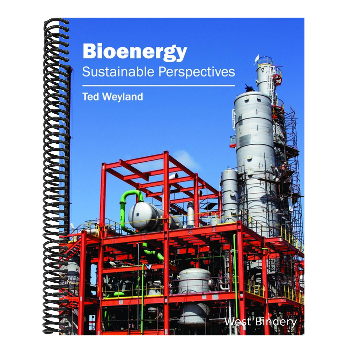 Bioenergy: Sustainable Perspectives