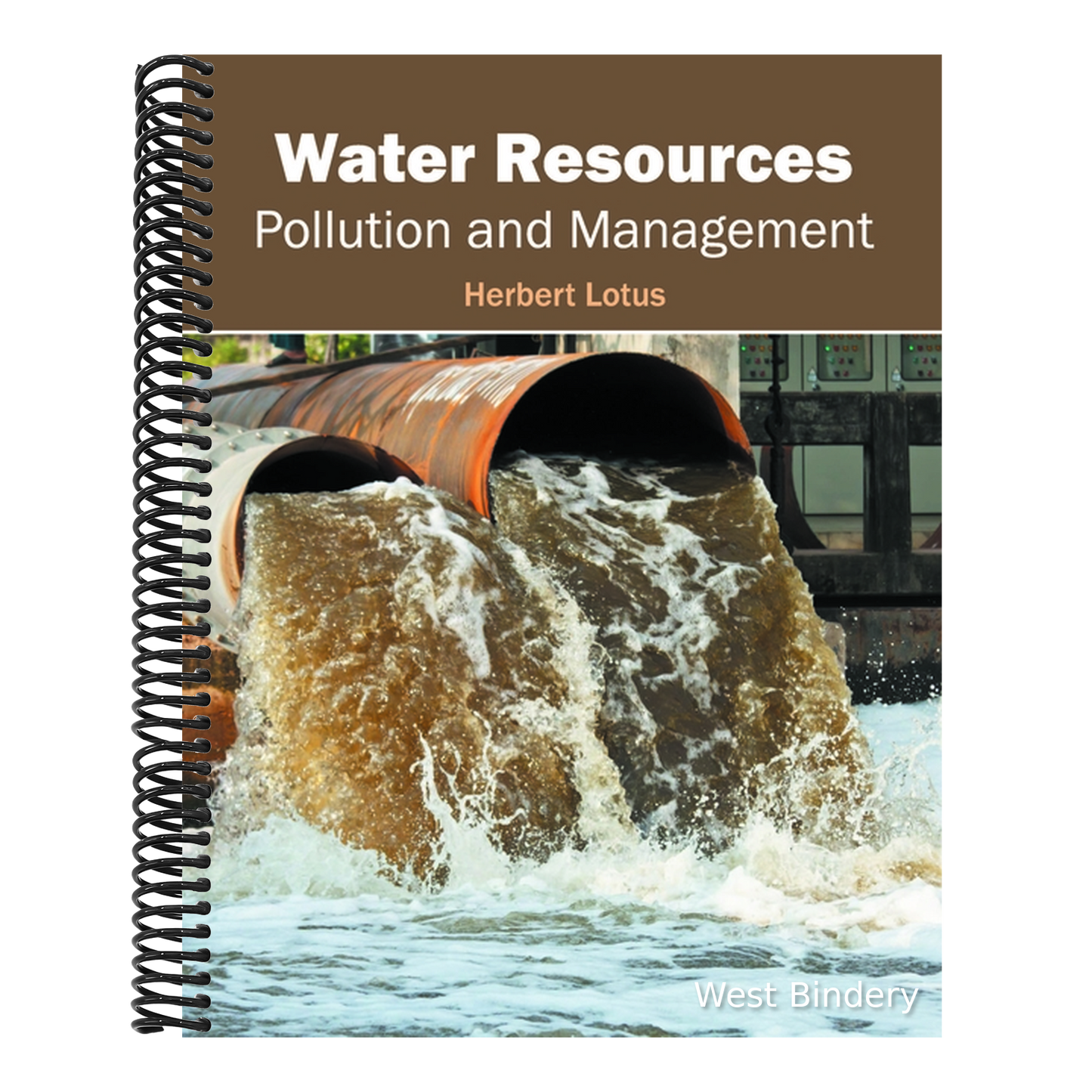 Water Resources: Pollution and Management