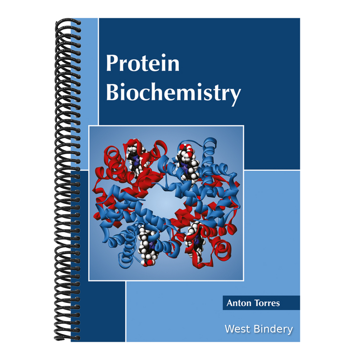 Protein Biochemistry