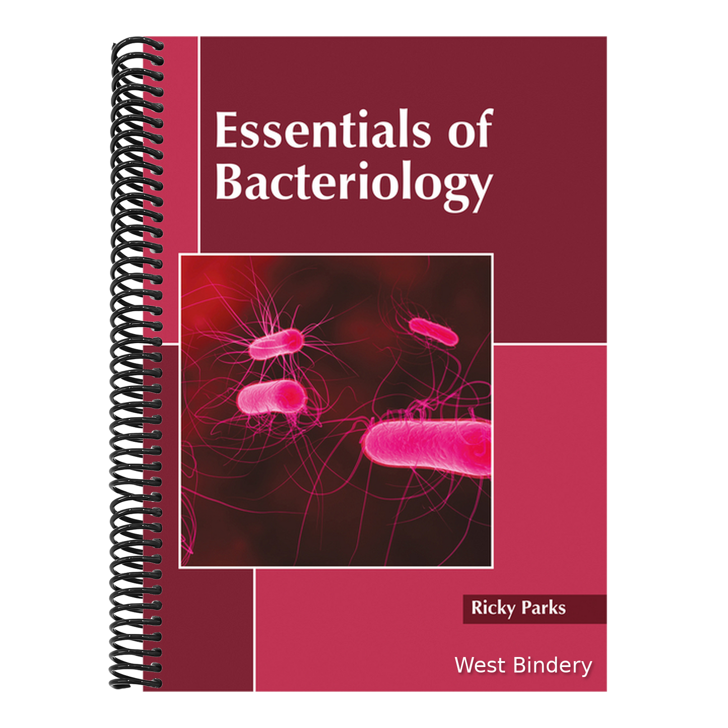 Essentials of Bacteriology