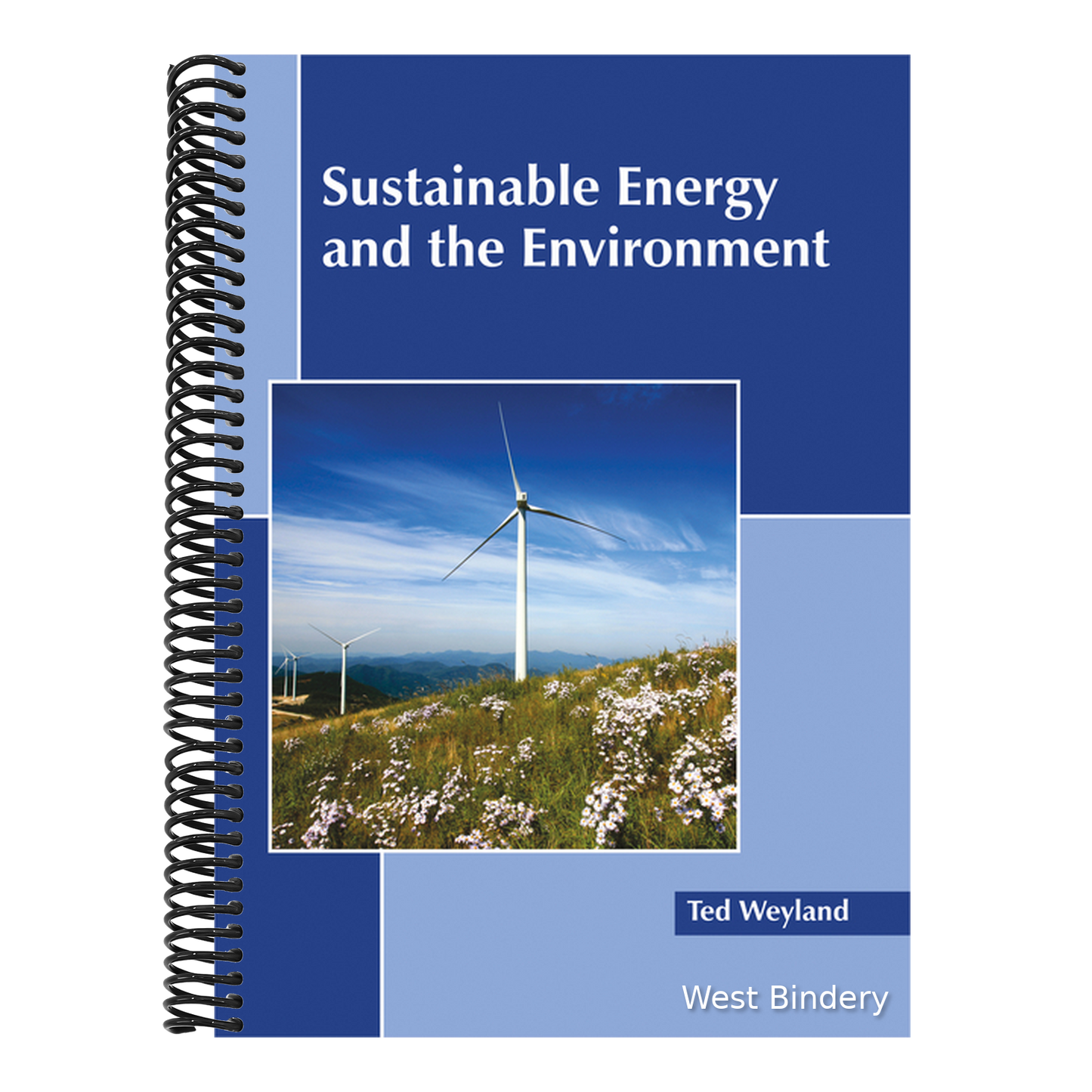 Sustainable Energy and the Environment