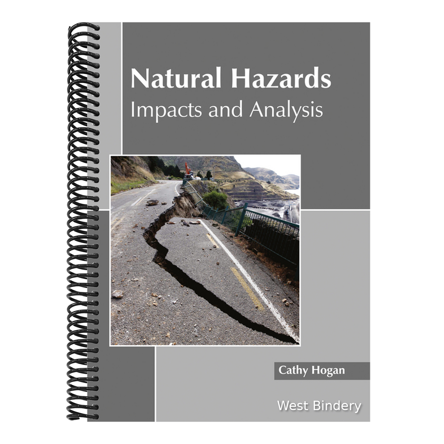 Natural Hazards: Impacts and Analysis