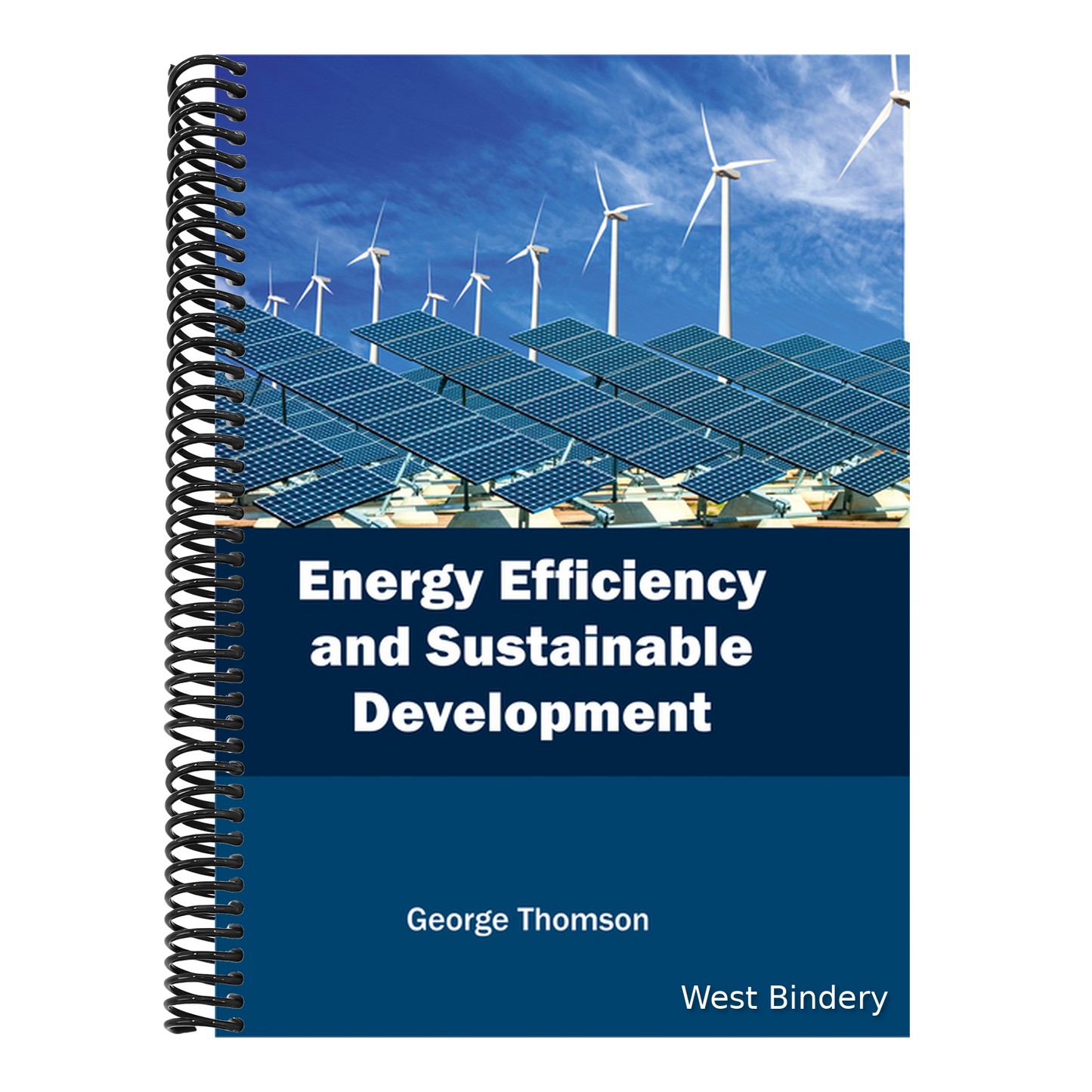 Energy Efficiency and Sustainable Development