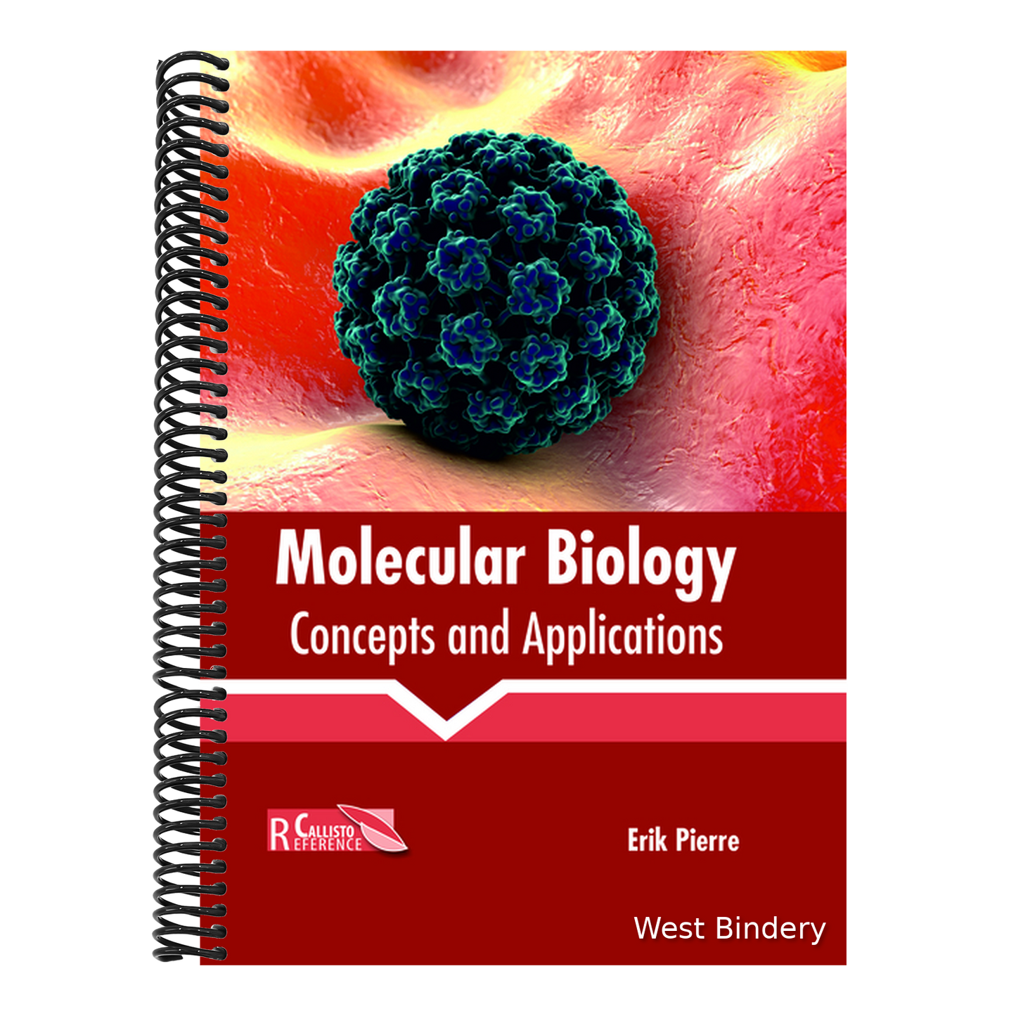 Molecular Biology: Concepts and Applications