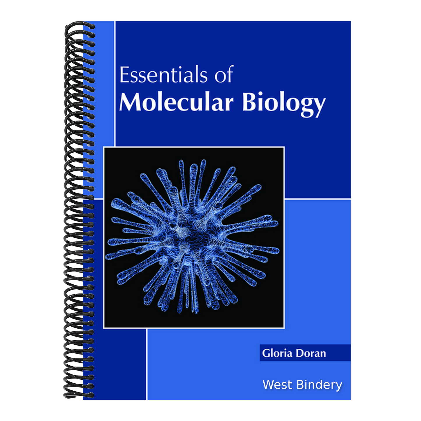 Essentials of Molecular Biology