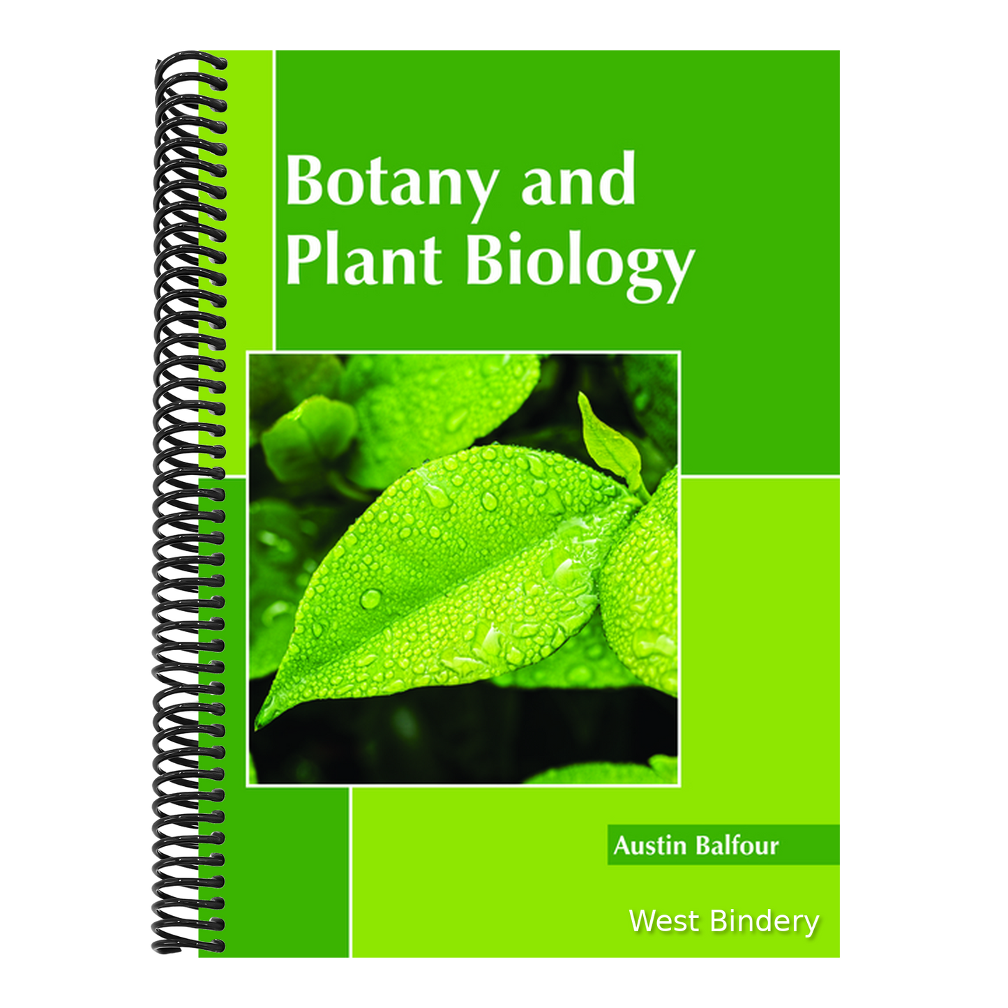Botany and Plant Biology