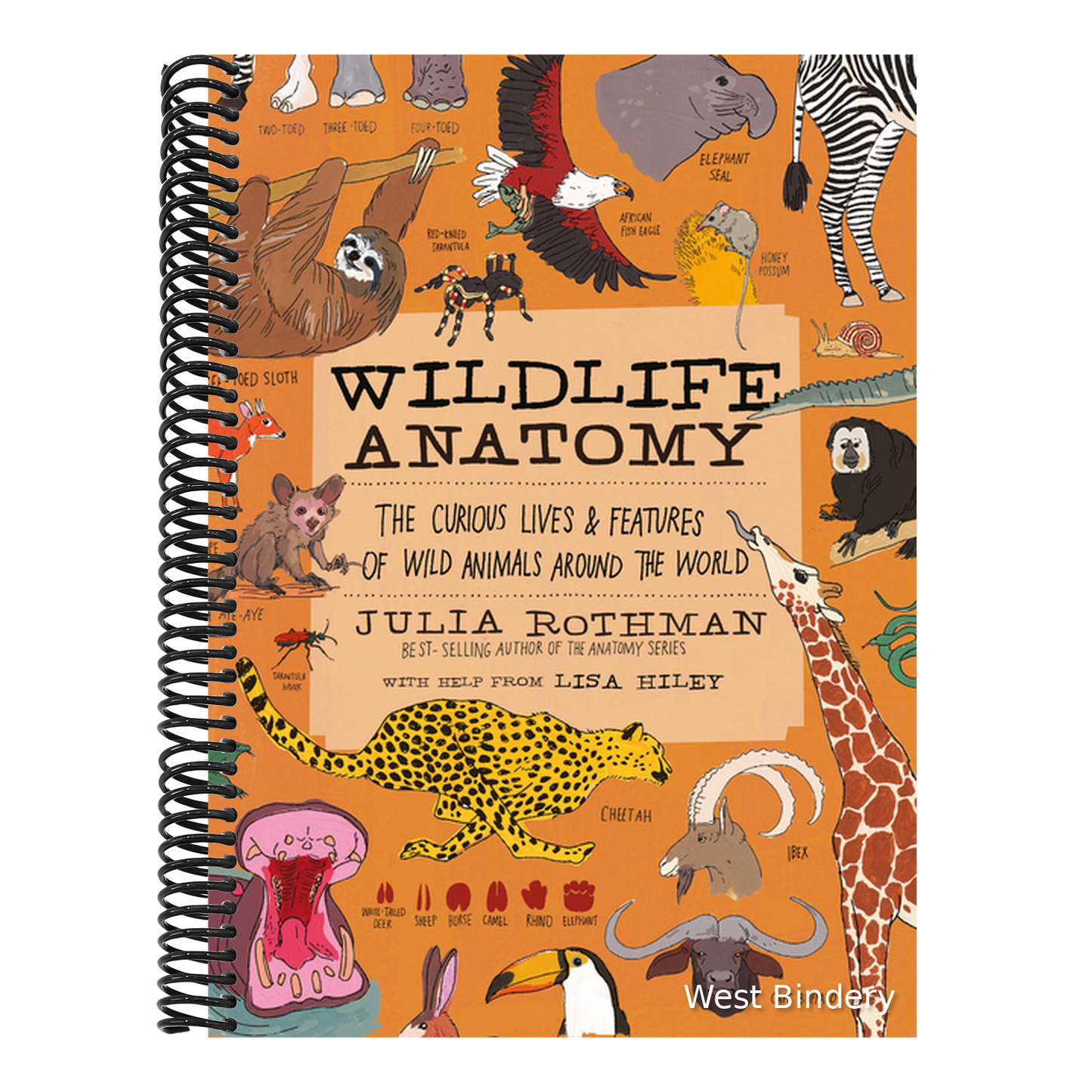 Wildlife Anatomy: The Curious Lives & Features of Wild Animals Around the World
