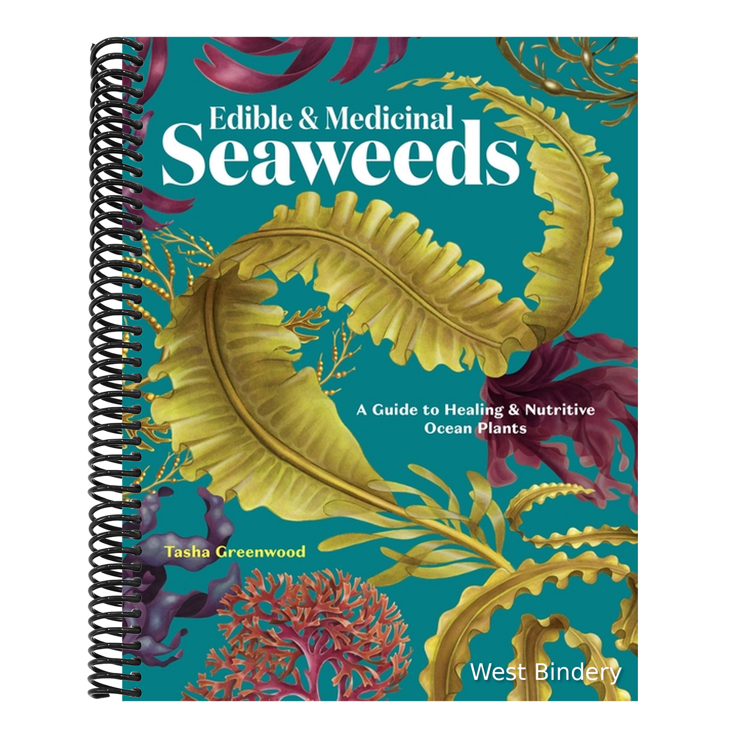 Edible & Medicinal Seaweeds: A Guide to Healing & Nutritive Ocean Plants