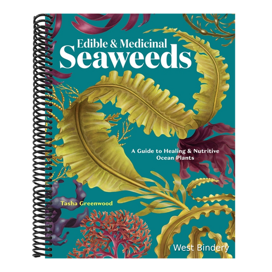 Edible & Medicinal Seaweeds: A Guide to Healing & Nutritive Ocean Plants