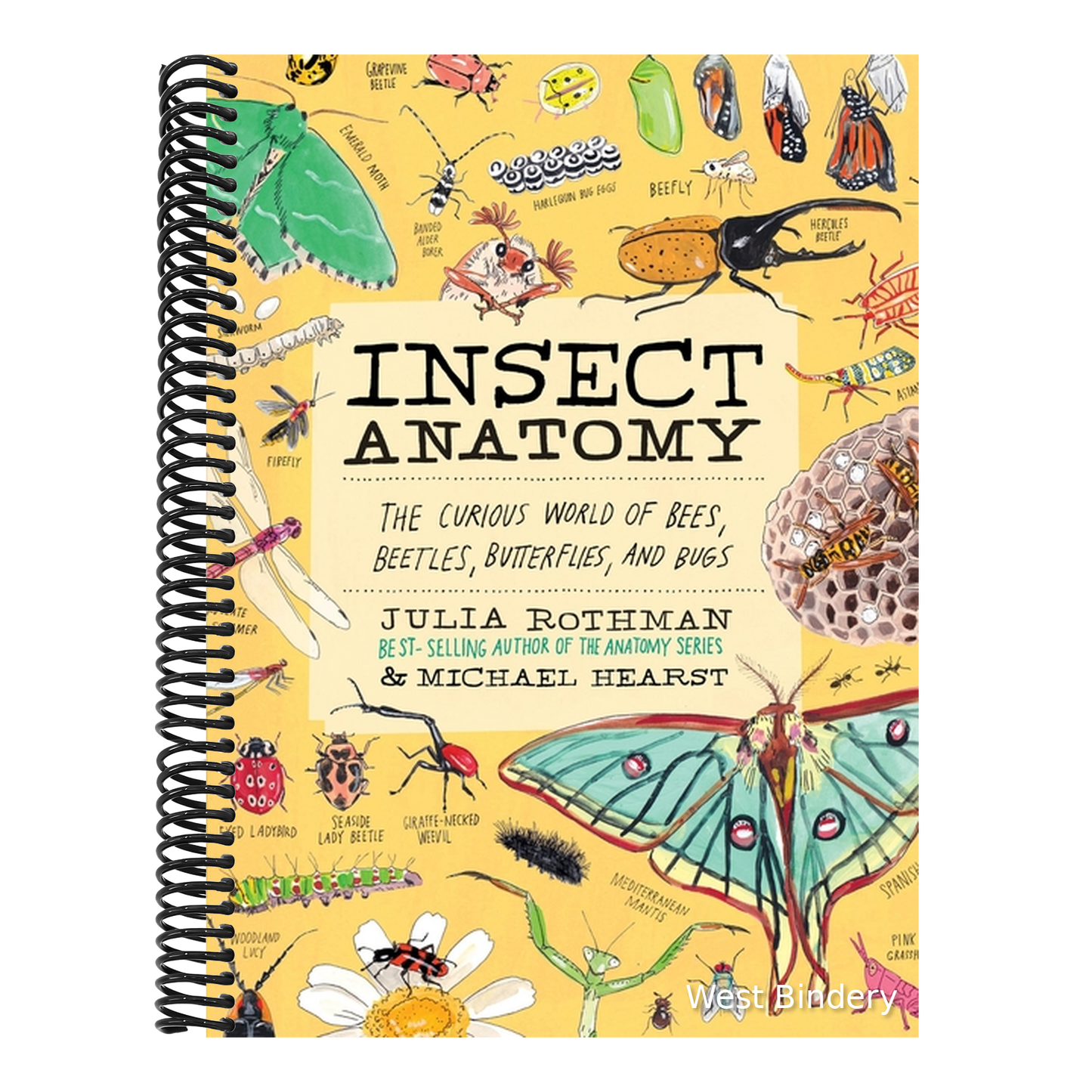 Insect Anatomy: The Curious World of Bees, Beetles, Butterflies, and Bugs