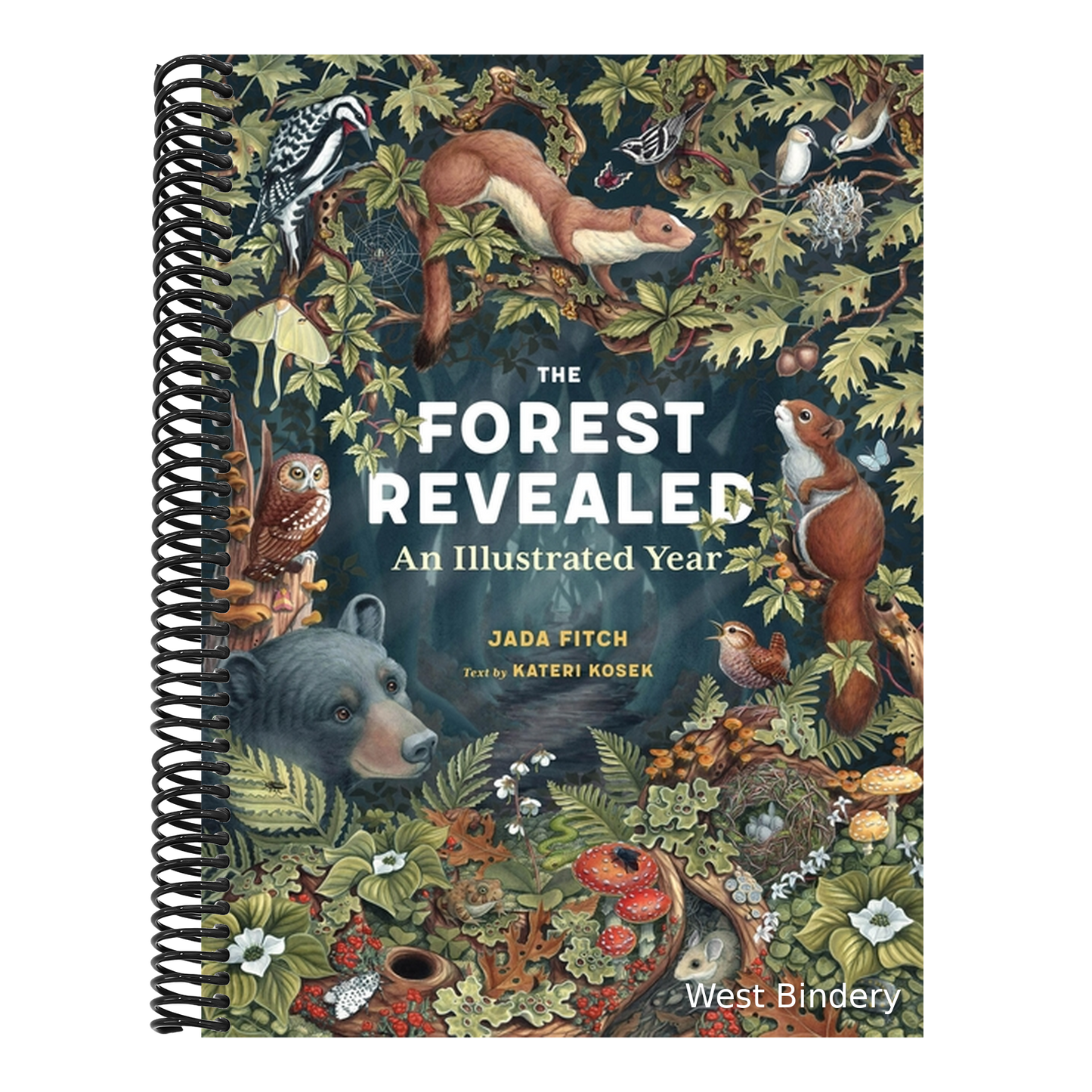 The Forest Revealed: An Illustrated Year