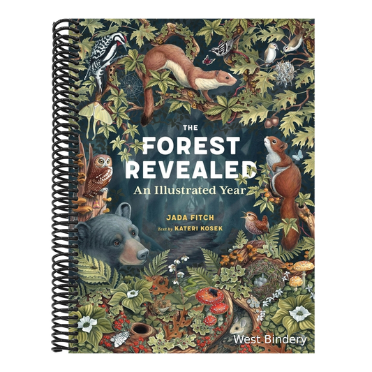 The Forest Revealed: An Illustrated Year