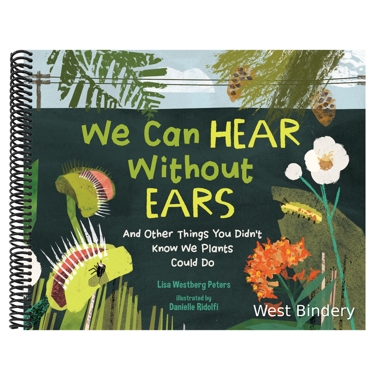 We Can Hear Without Ears: And Other Things You Didn't Know We Plants Could Do