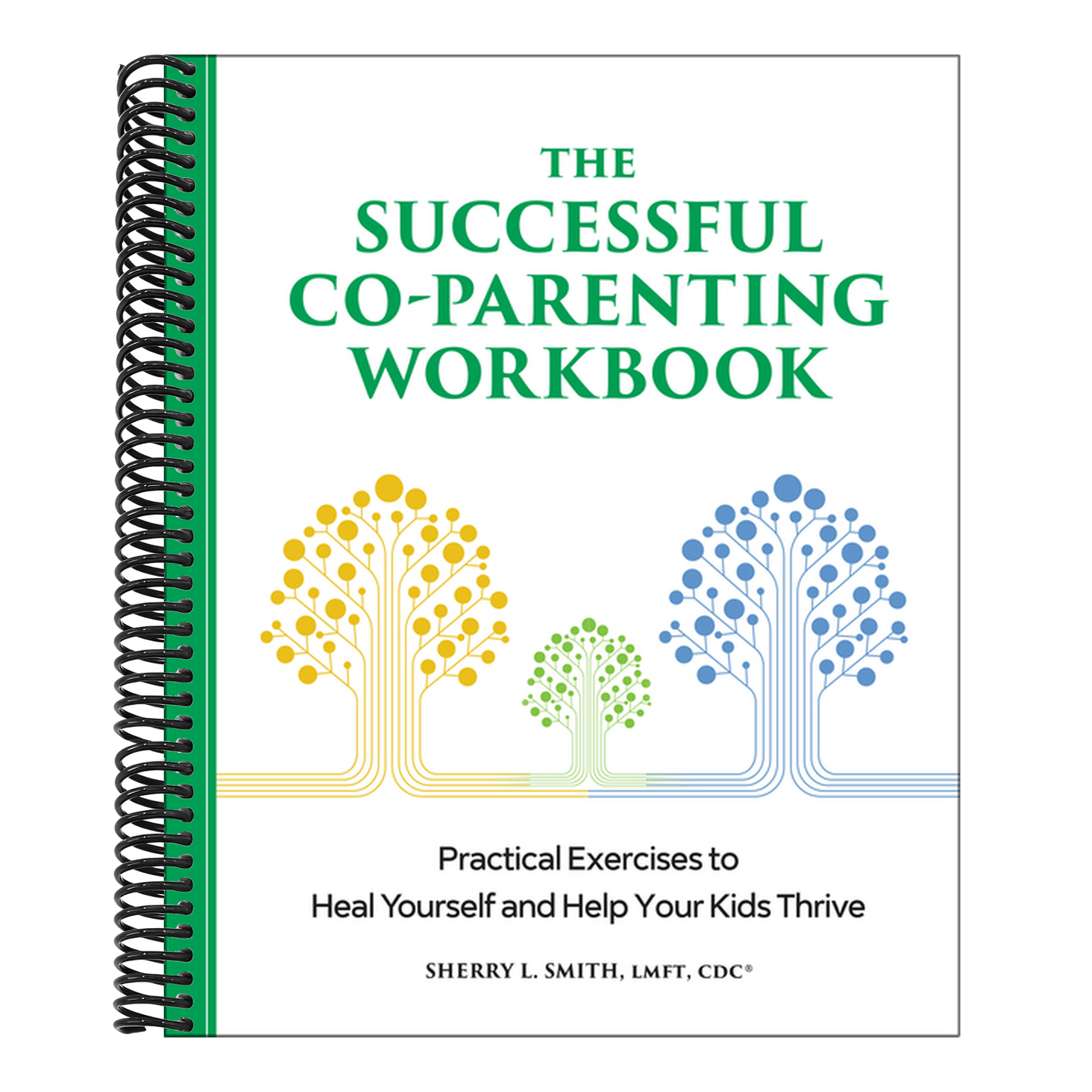 The Successful Co-Parenting Workbook: Practical Exercises to Heal Yourself and Help Your Kids Thrive