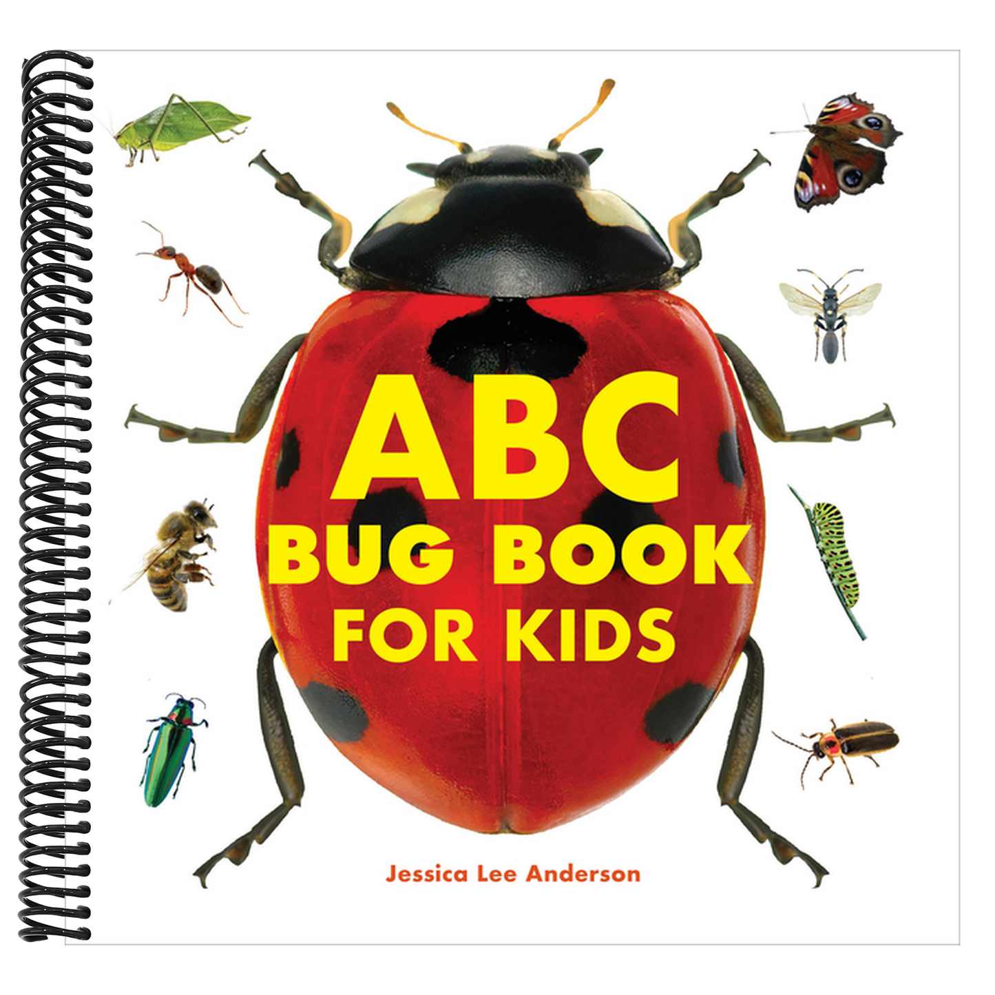 ABC Bug Book for Kids (Spiral Bound)