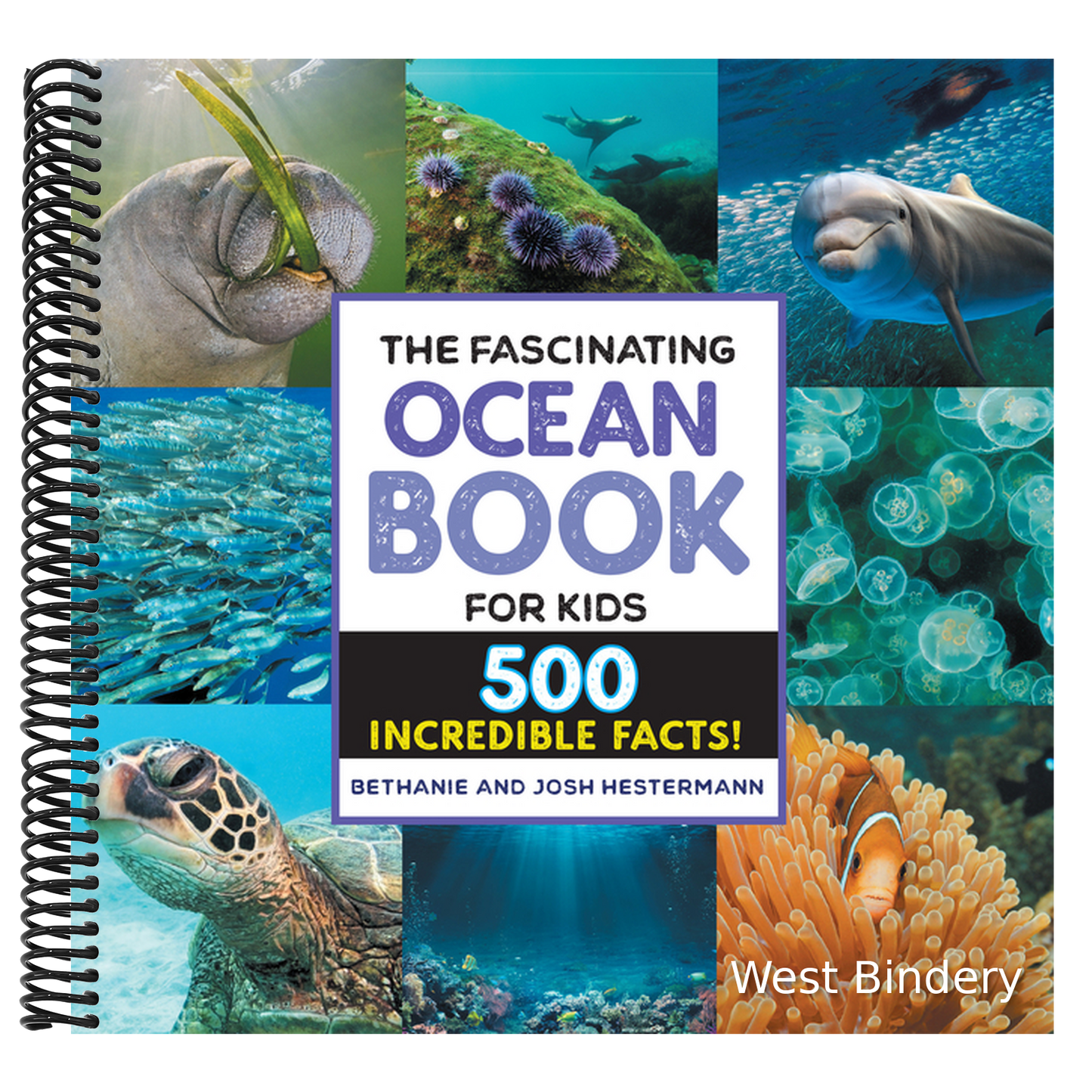 The Fascinating Ocean Book for Kids: 500 Incredible Facts!