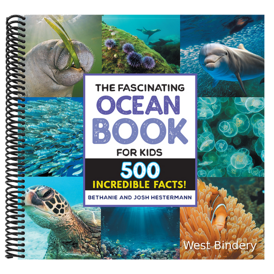 The Fascinating Ocean Book for Kids: 500 Incredible Facts!