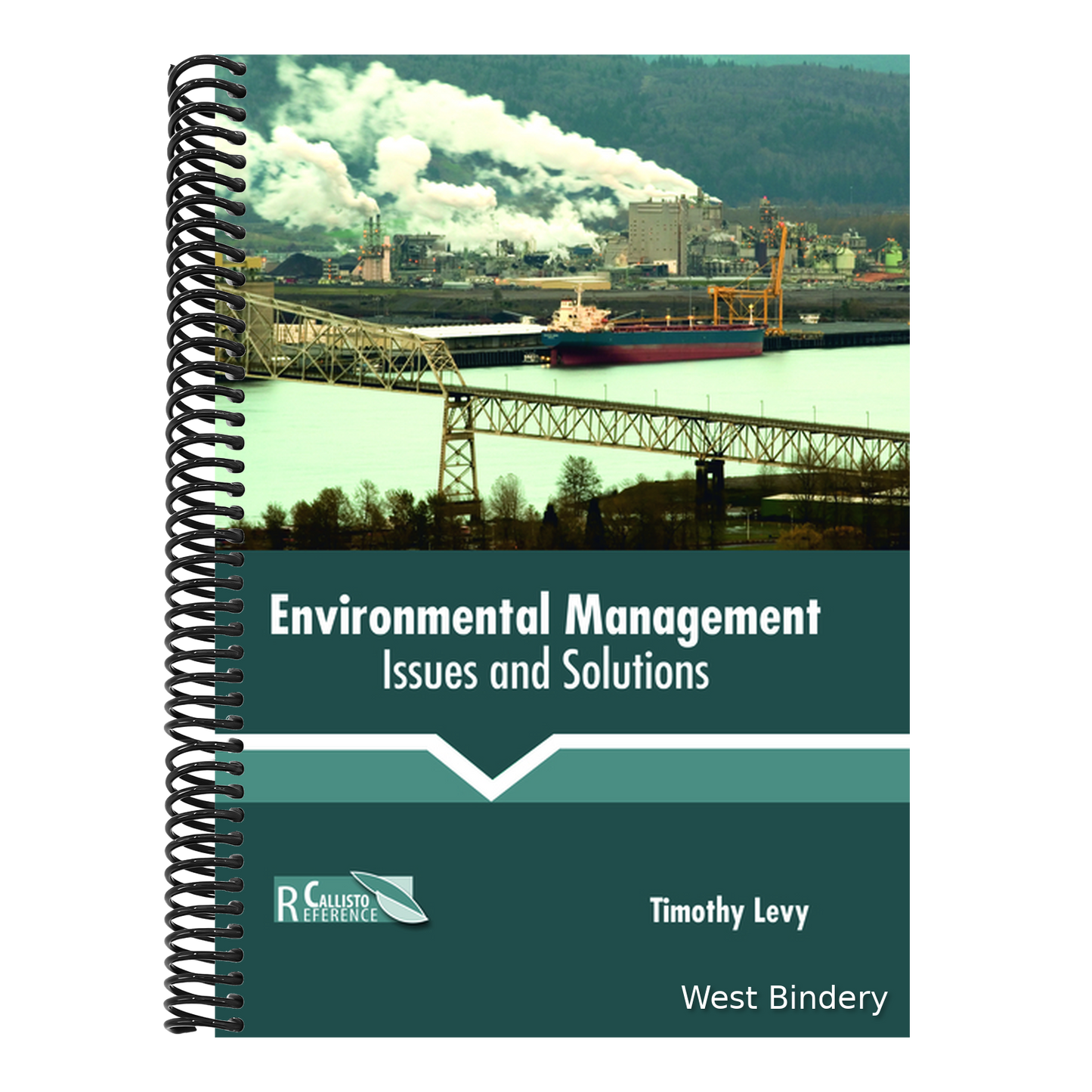 Environmental Management: Issues and Solutions