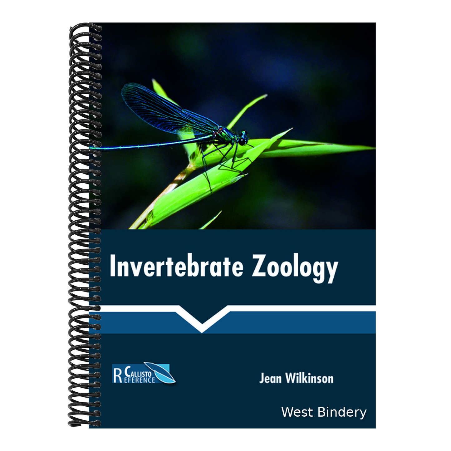 Invertebrate Zoology