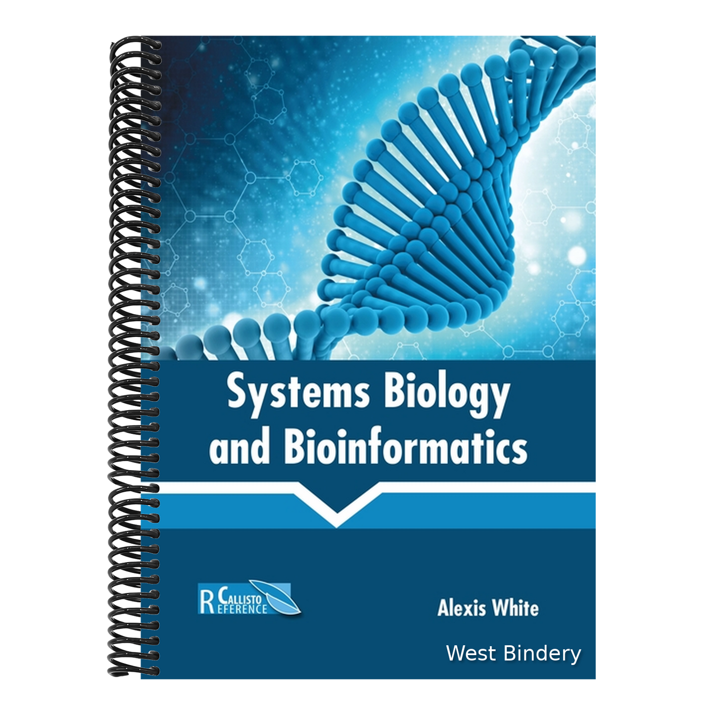 Systems Biology and Bioinformatics
