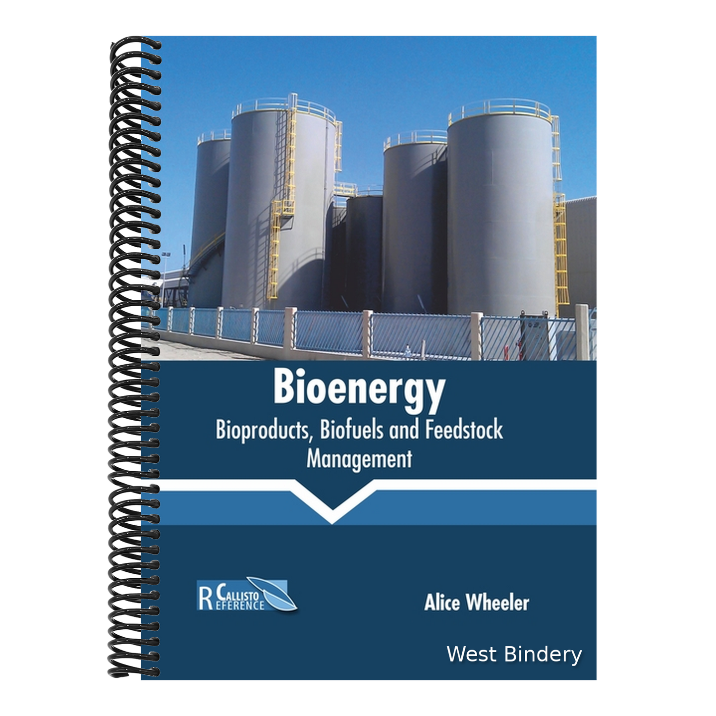 Bioenergy: Bioproducts, Biofuels and Feedstock Management