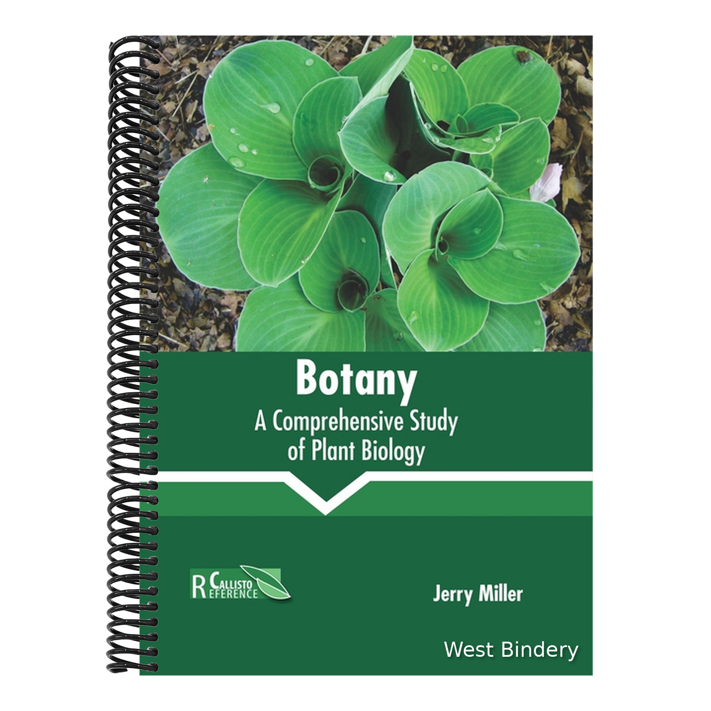 Botany: A Comprehensive Study of Plant Biology