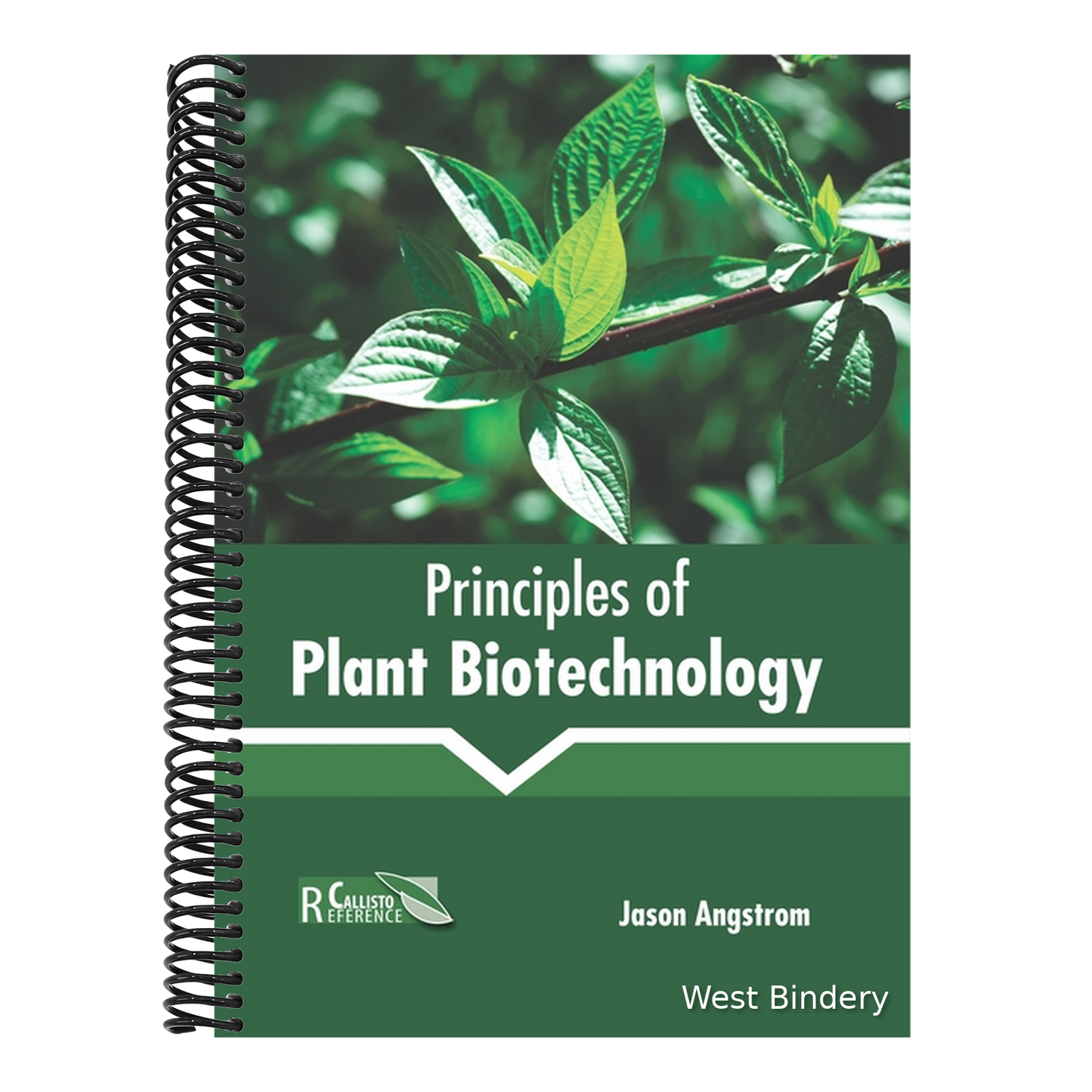 Principles of Plant Biotechnology