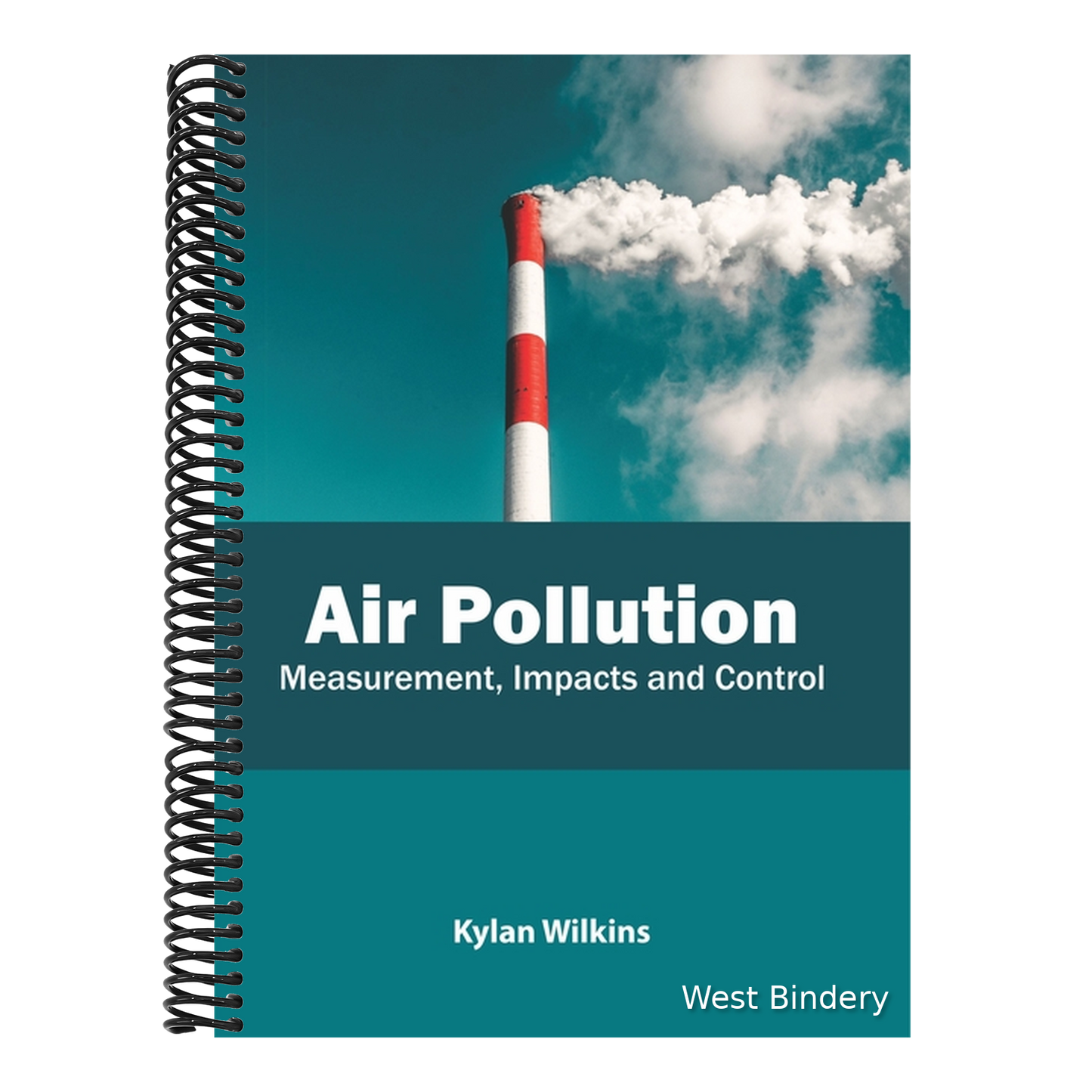 Air Pollution: Measurement, Impacts and Control