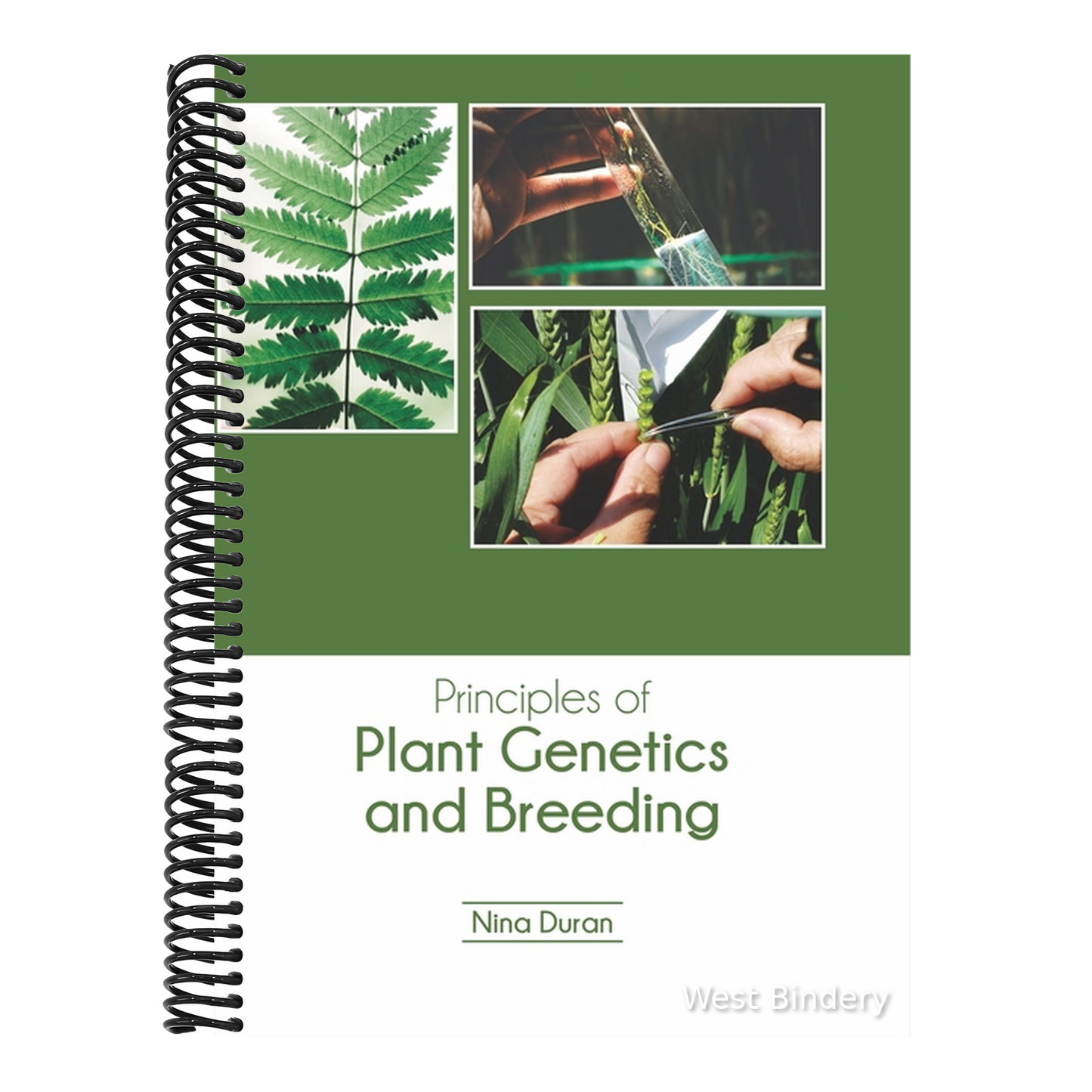 Principles of Plant Genetics and Breeding