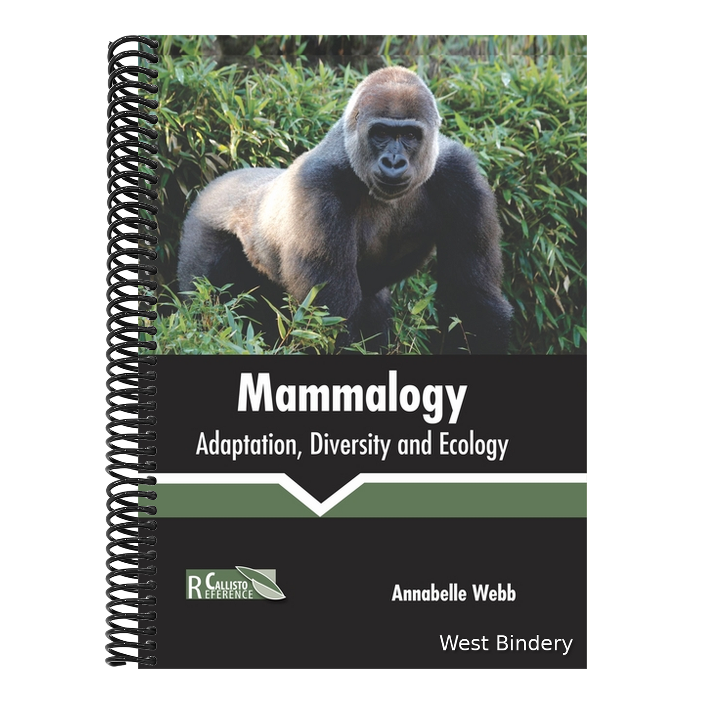 Mammalogy: Adaptation, Diversity and Ecology