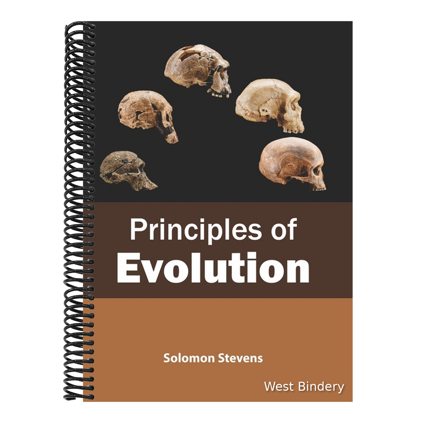 Principles of Evolution