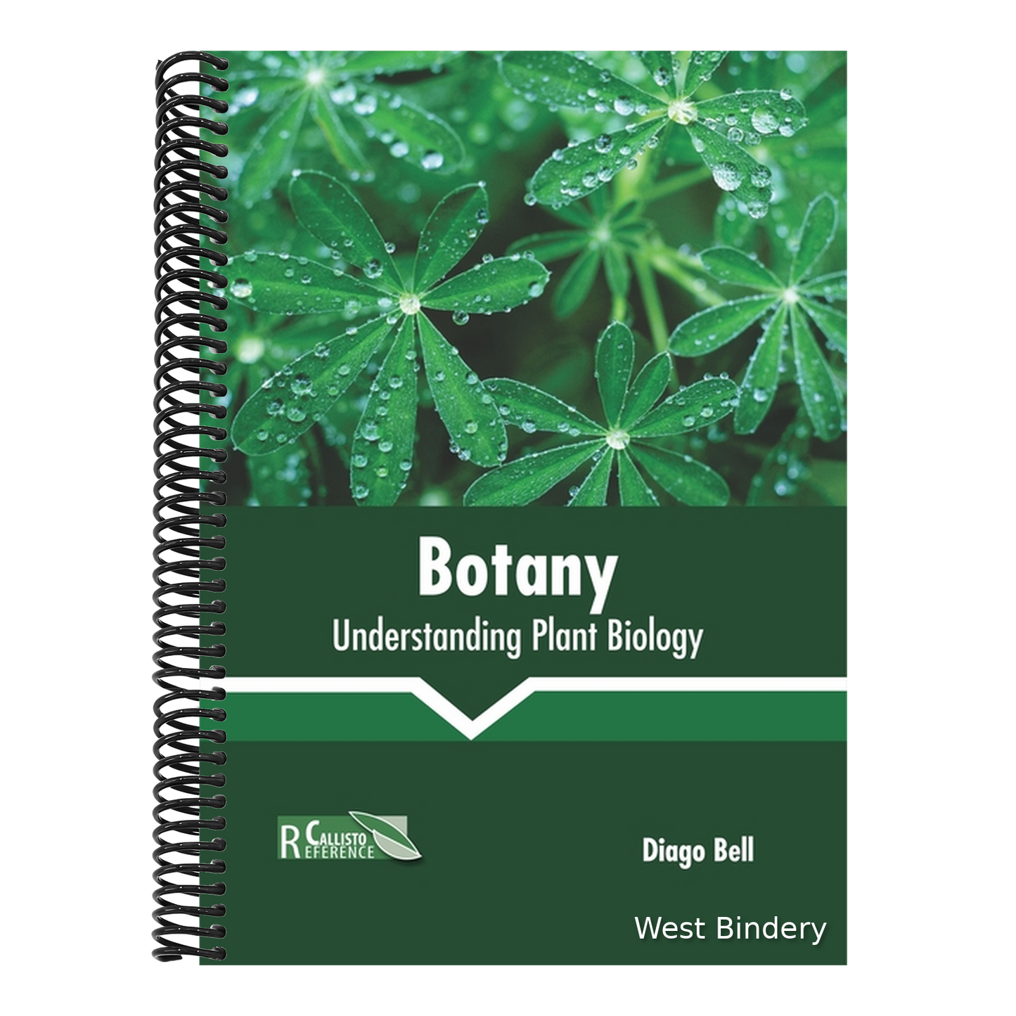 Botany: Understanding Plant Biology