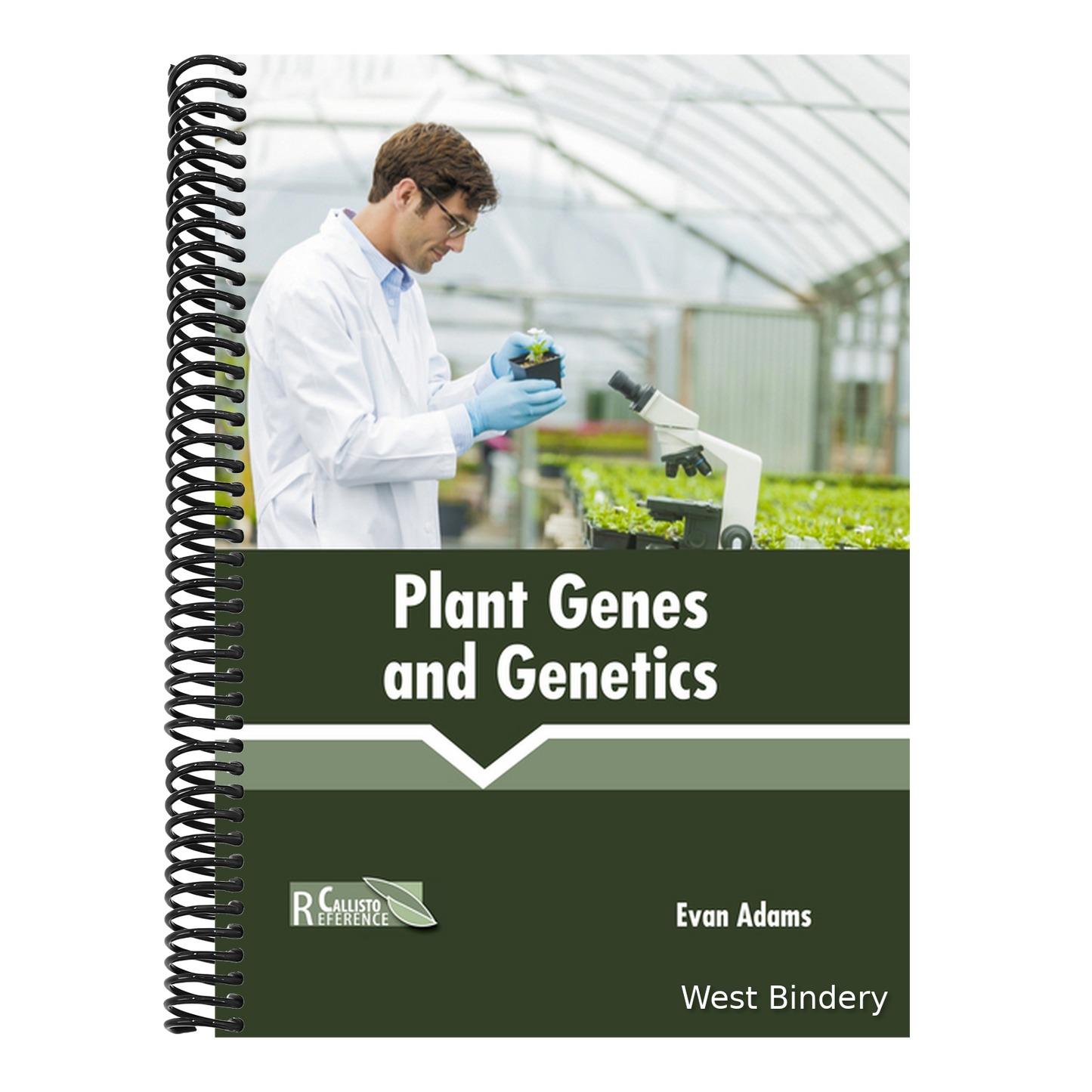 Plant Genes and Genetics