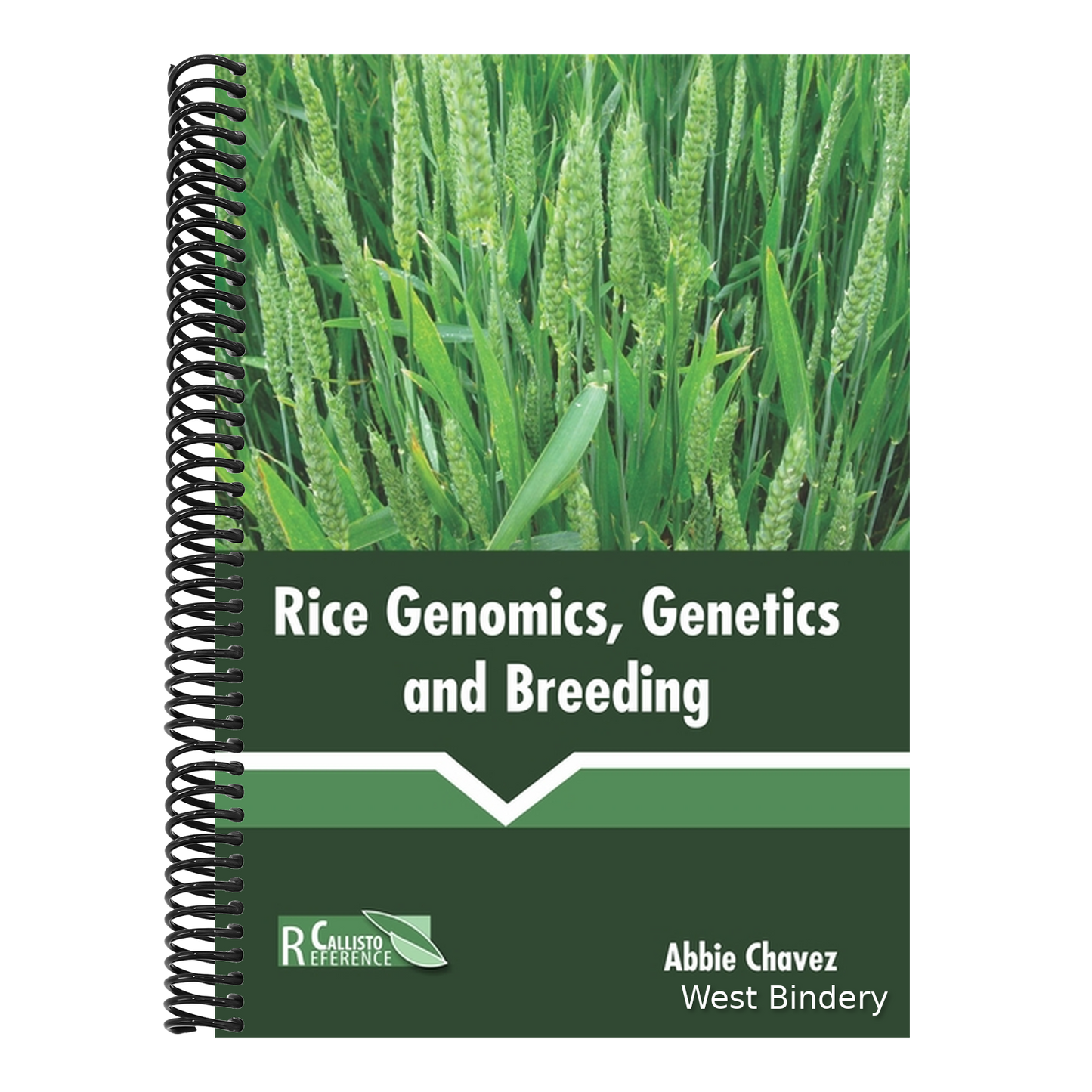 Rice Genomics, Genetics and Breeding